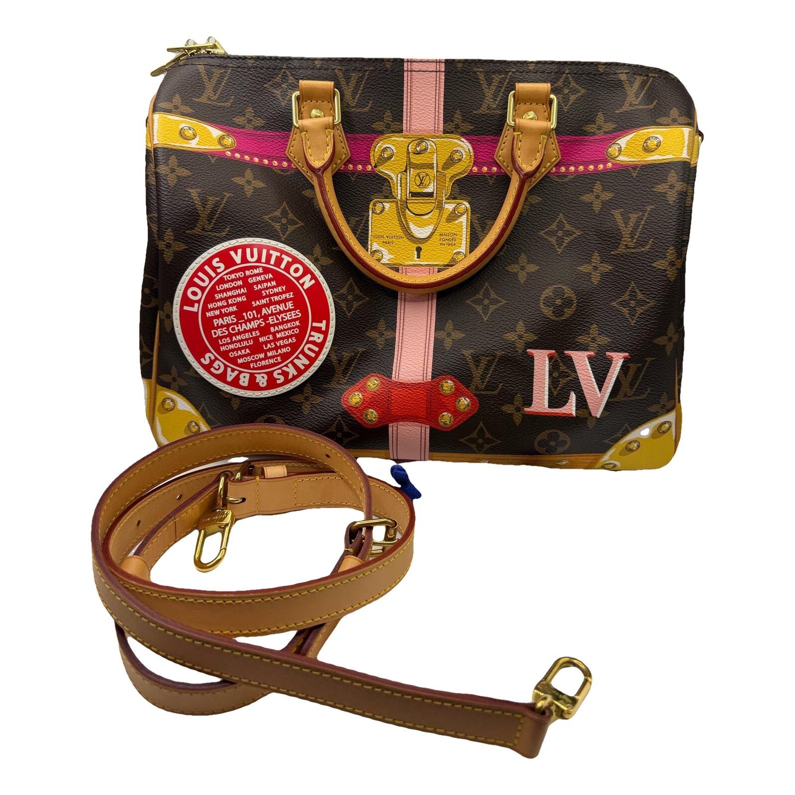 Nano Speedy / Mini HL leather handbag