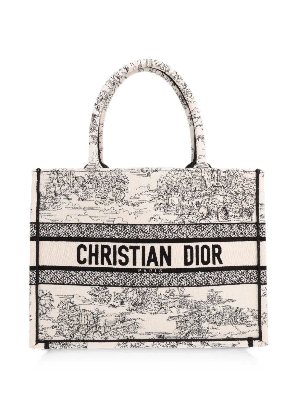 2020s medium Book Tote Oblique Monogram tote bag