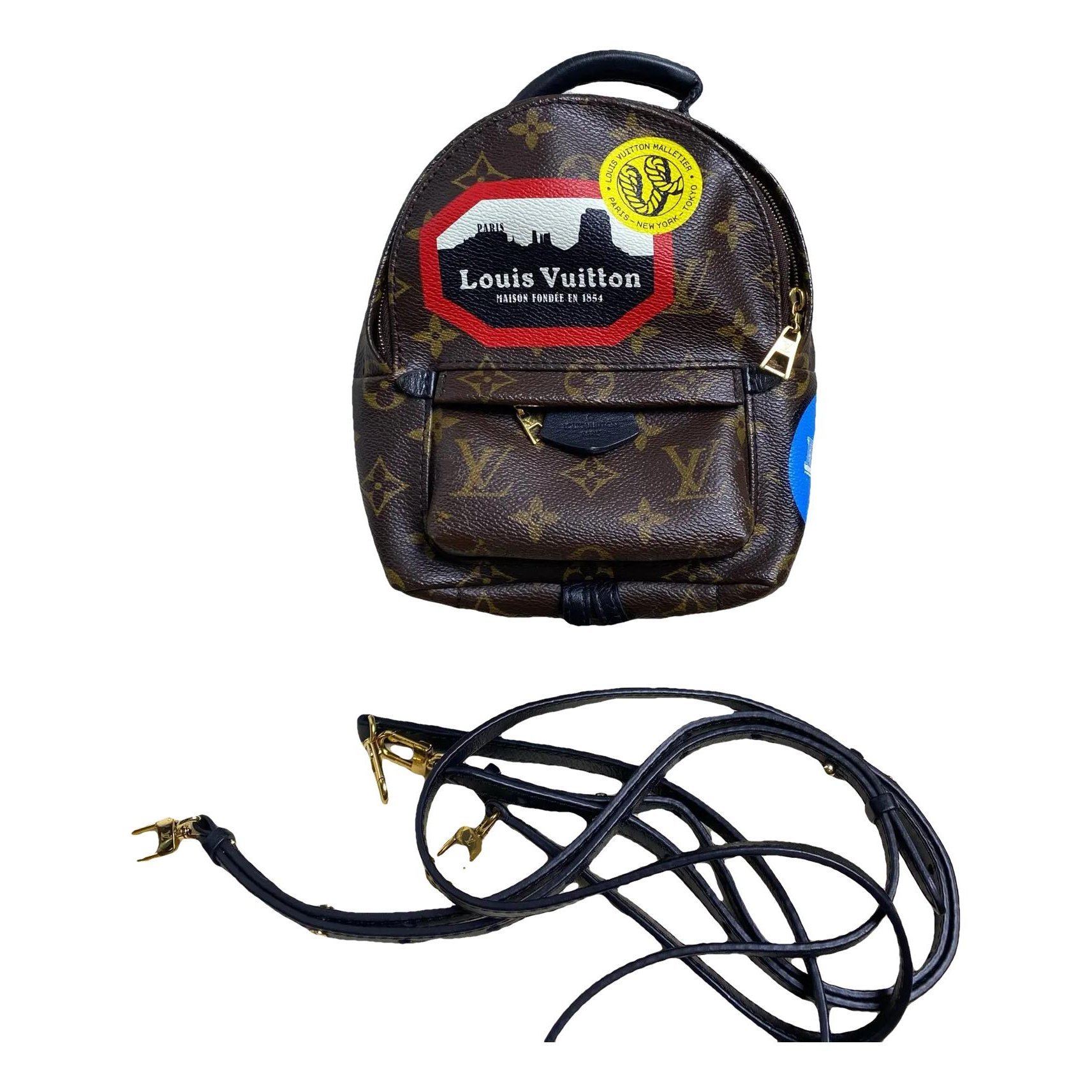 Palm Springs vinyl backpack