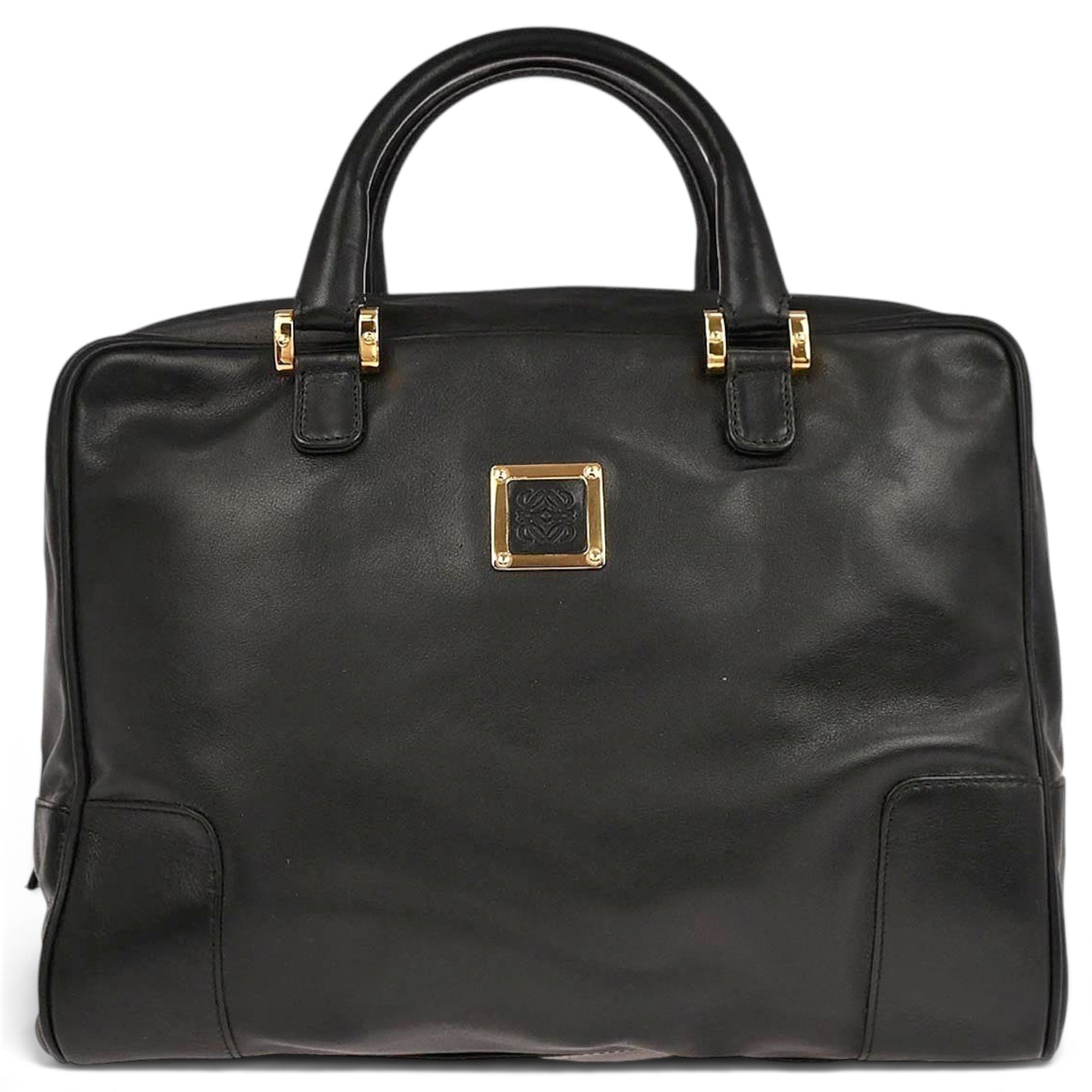 Amazona leather handbag