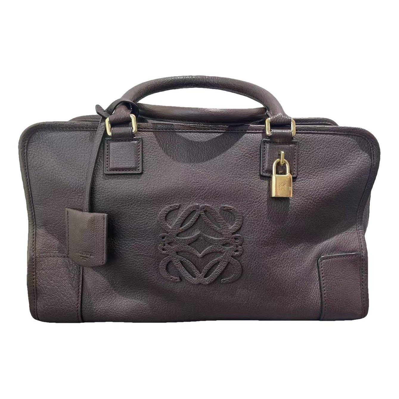 Amazona leather handbag
