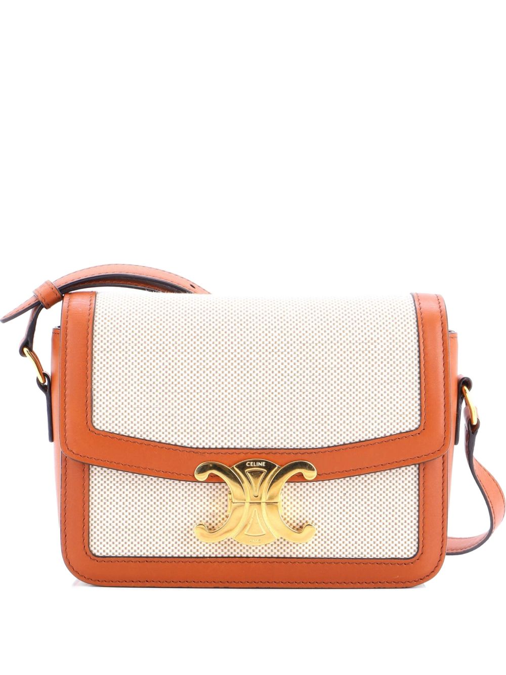 Triomphe Shoulder Bag Canvas with Leather Teen crossbody bag