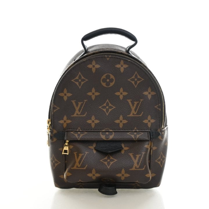 Louis Vuitton Monogram Palm Springs Mini