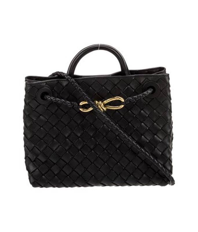 Bottega Veneta Veneta Intrecciato Andiamo Small