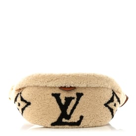 Louis Vuitton Monogram Teddy Bumbag