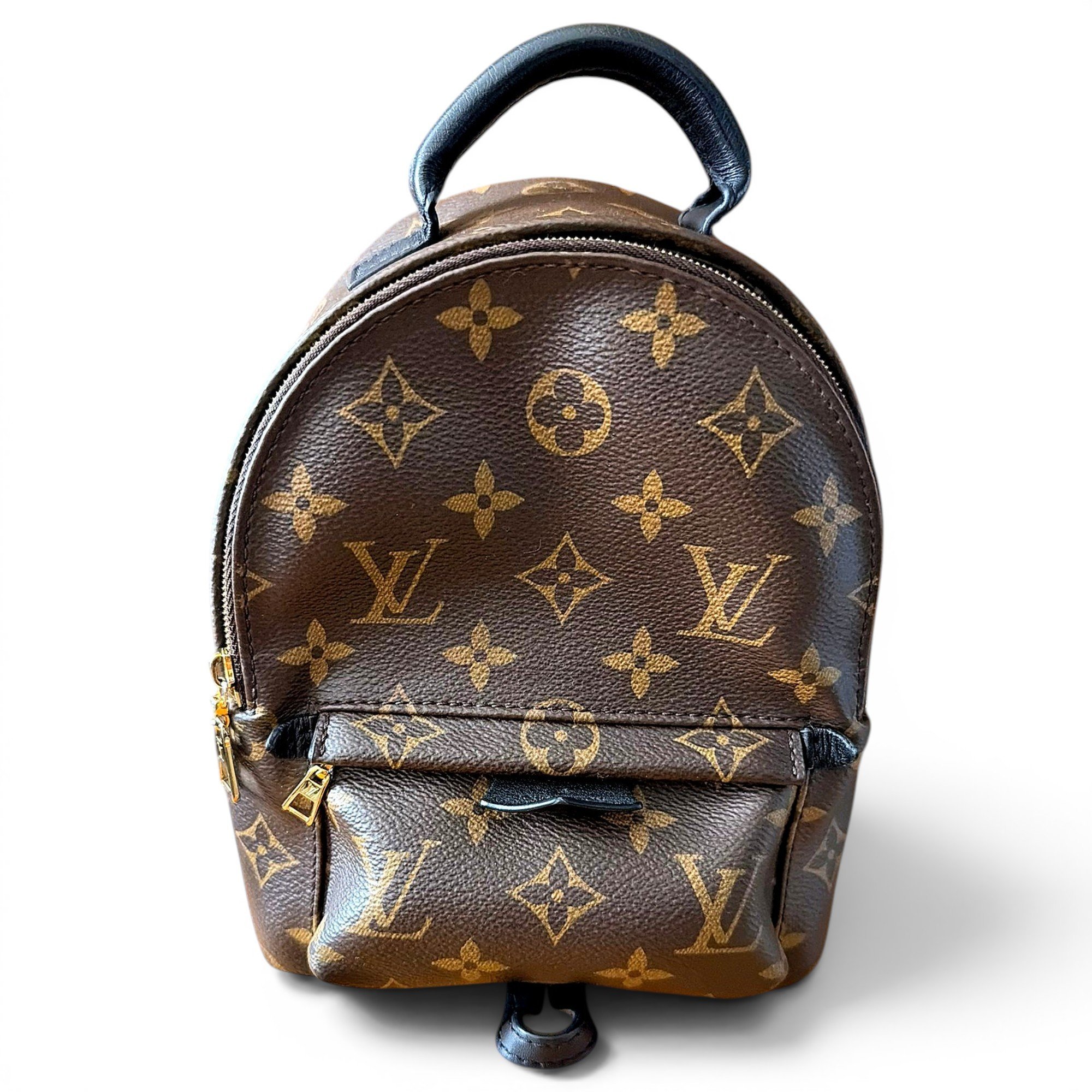 Palm Springs backpack