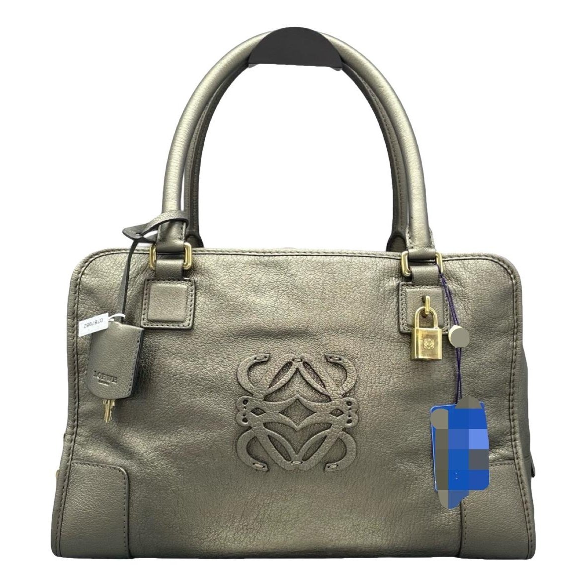 Amazona leather handbag