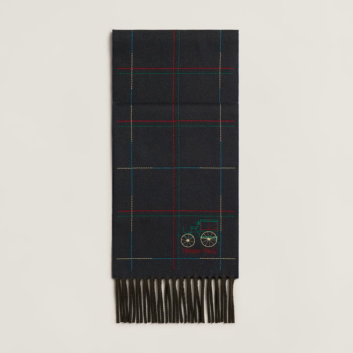 Bleu Brodee a Toute Berline ! Scarf