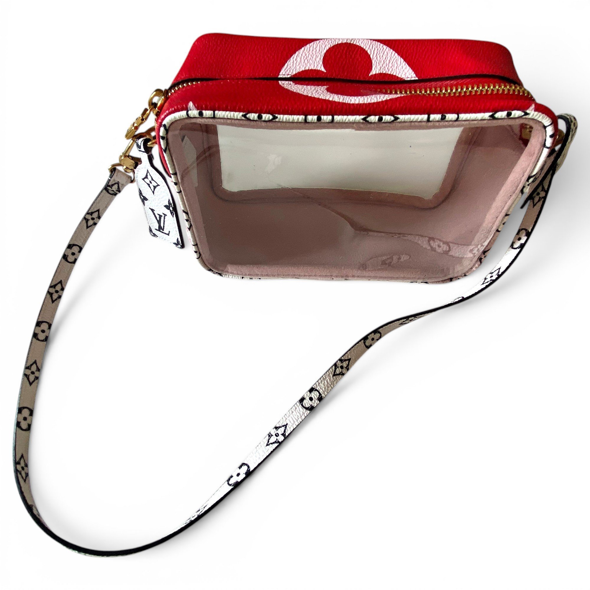 Camera Box leather crossbody bag