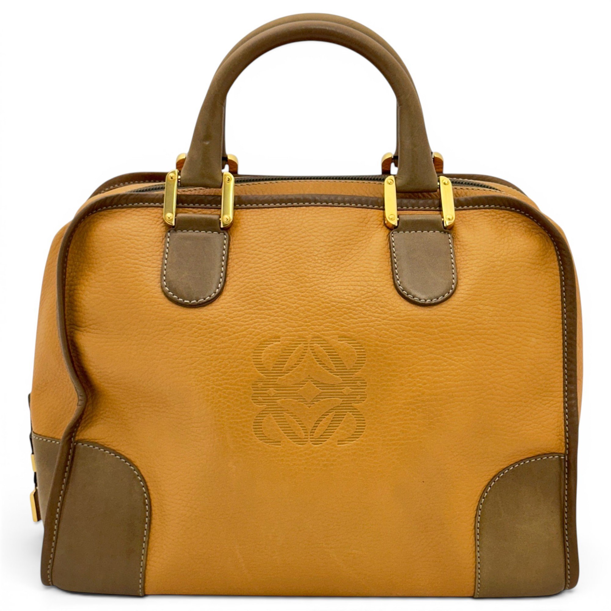 Amazona 75 leather handbag
