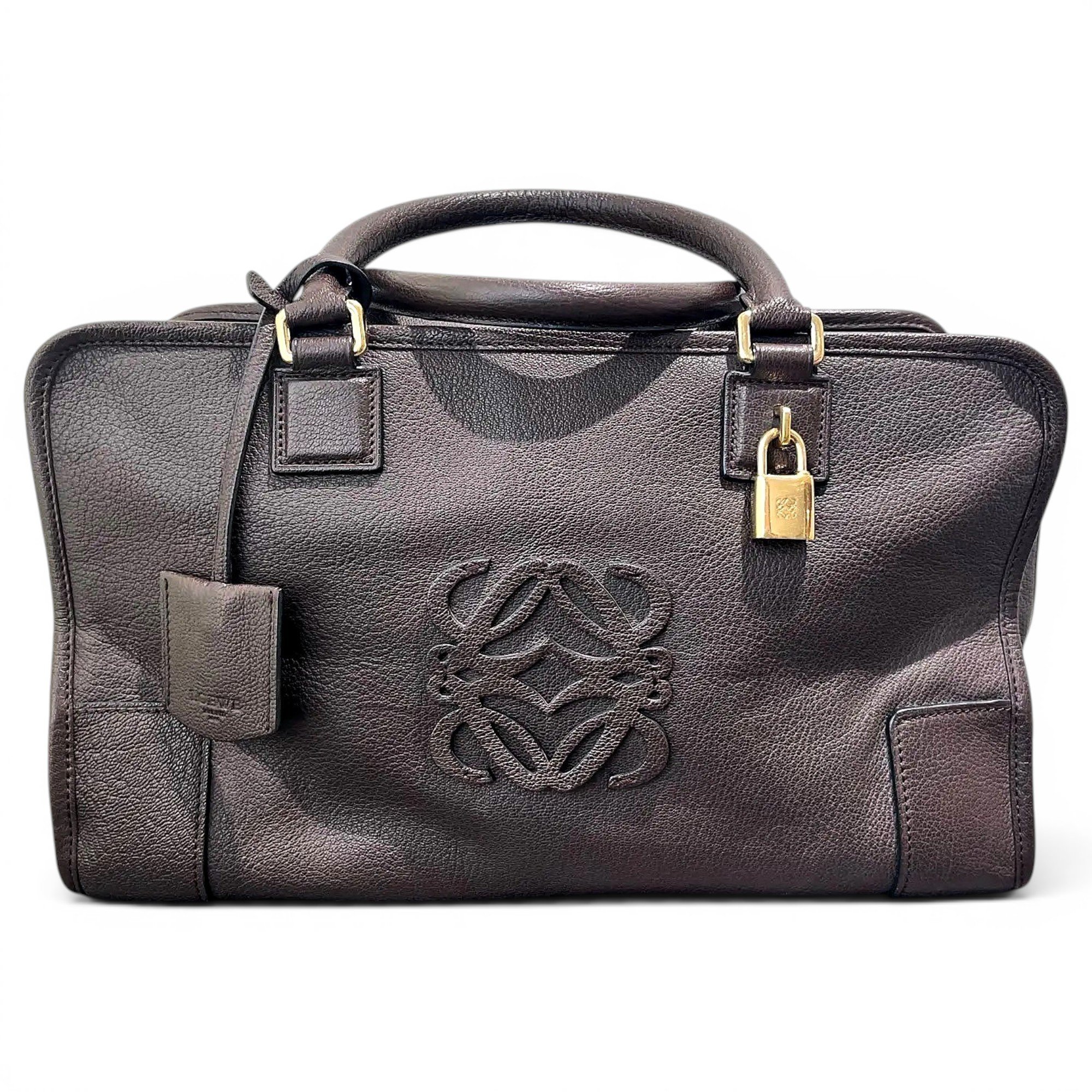 Amazona leather handbag