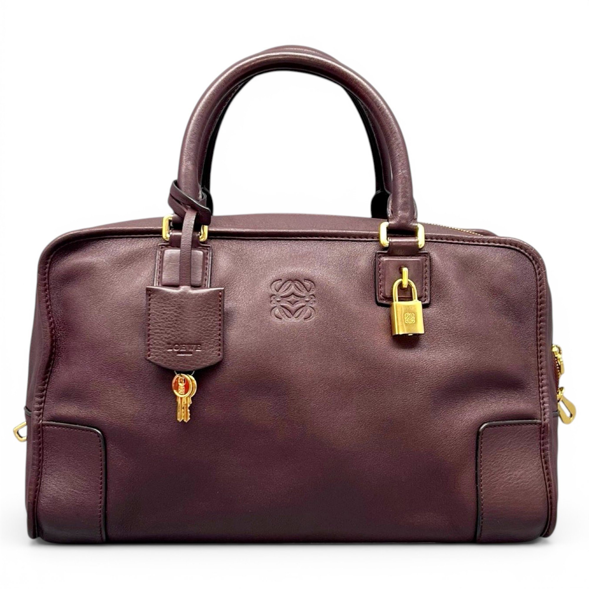 Amazona leather handbag