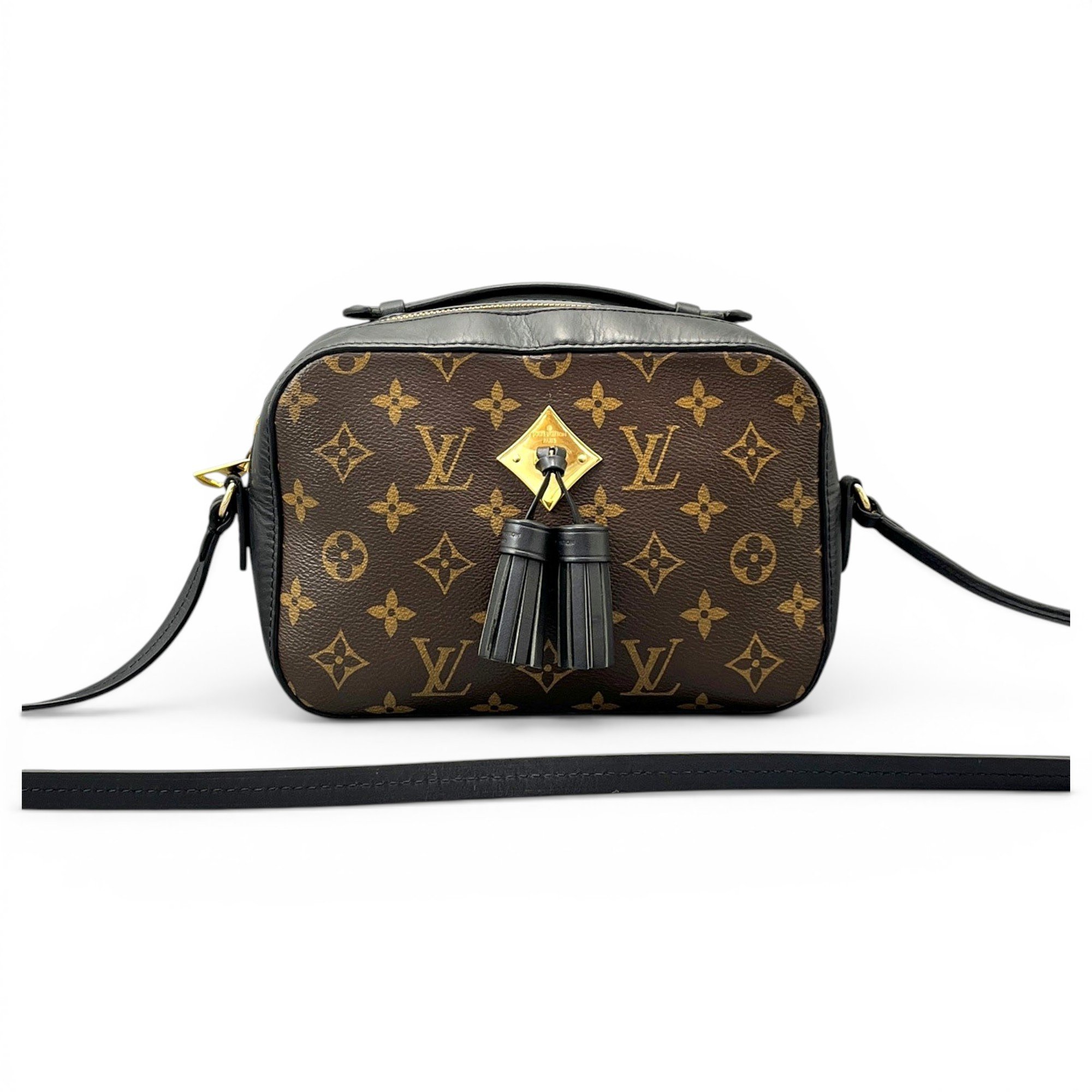 Saintonge leather crossbody bag