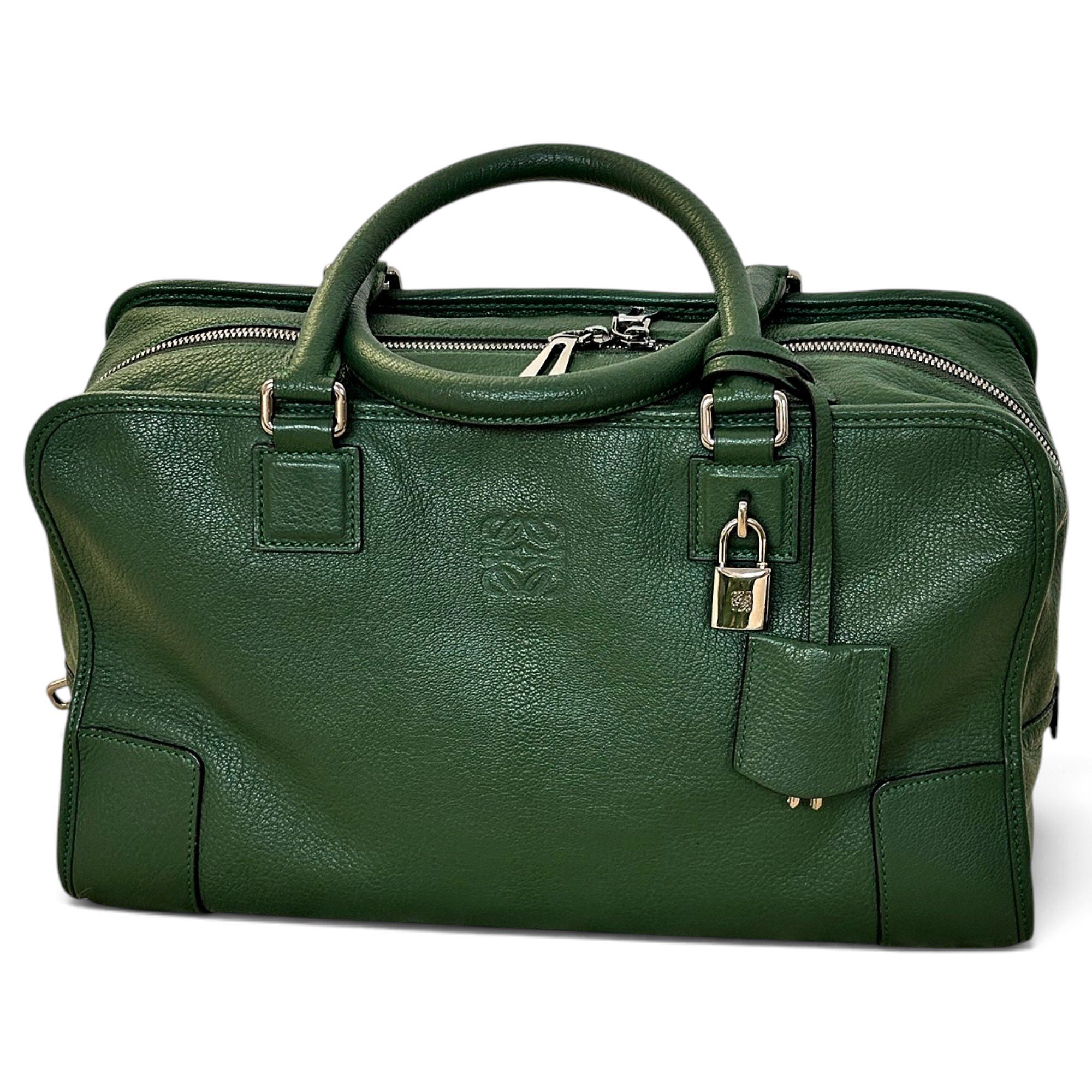 Amazona leather handbag