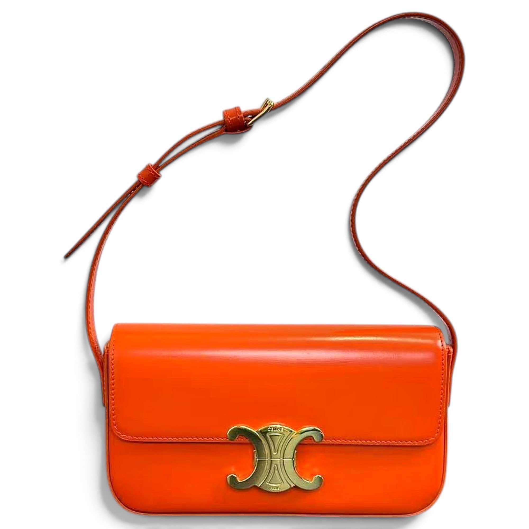 Triomphe Long leather handbag