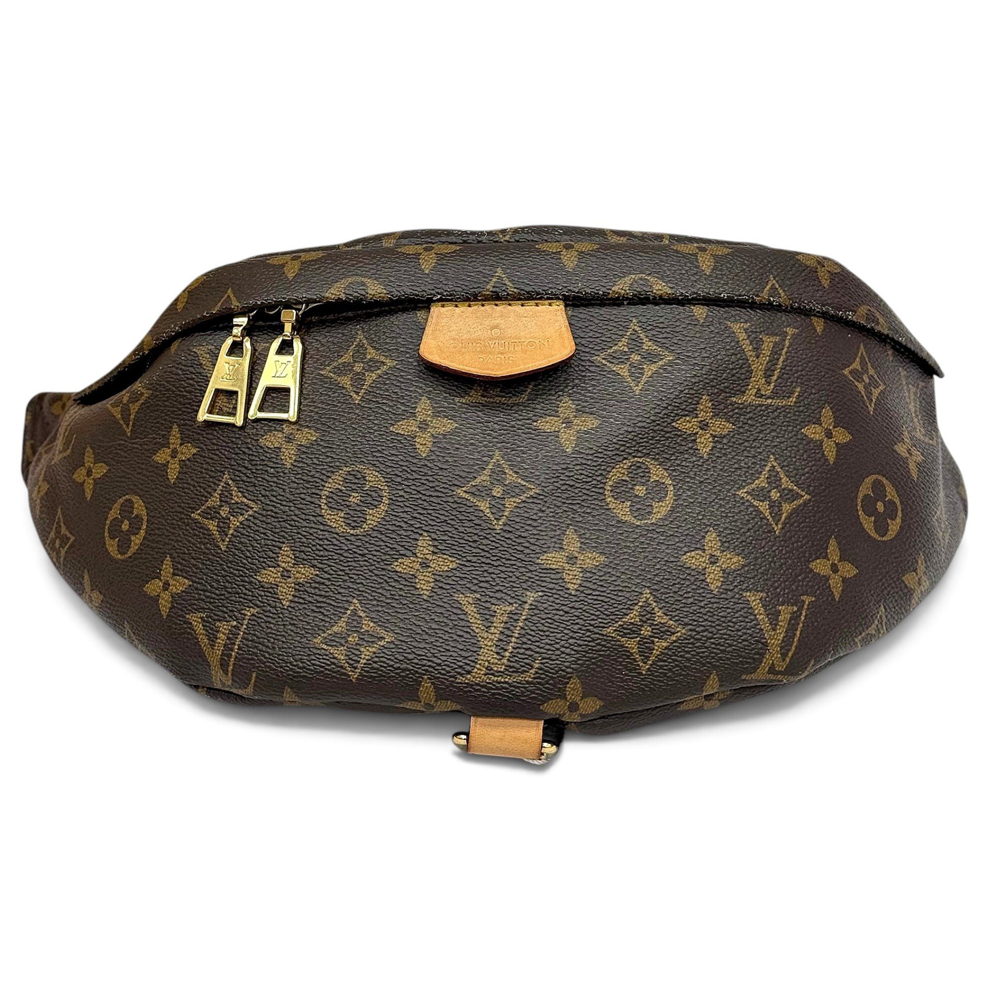 Bum Bag / Sac Ceinture leather handbag
