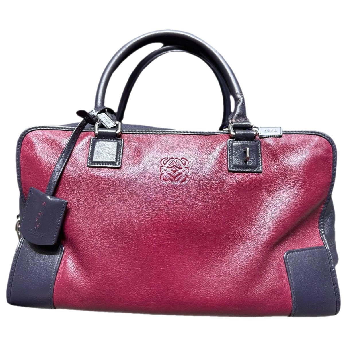 Amazona leather handbag