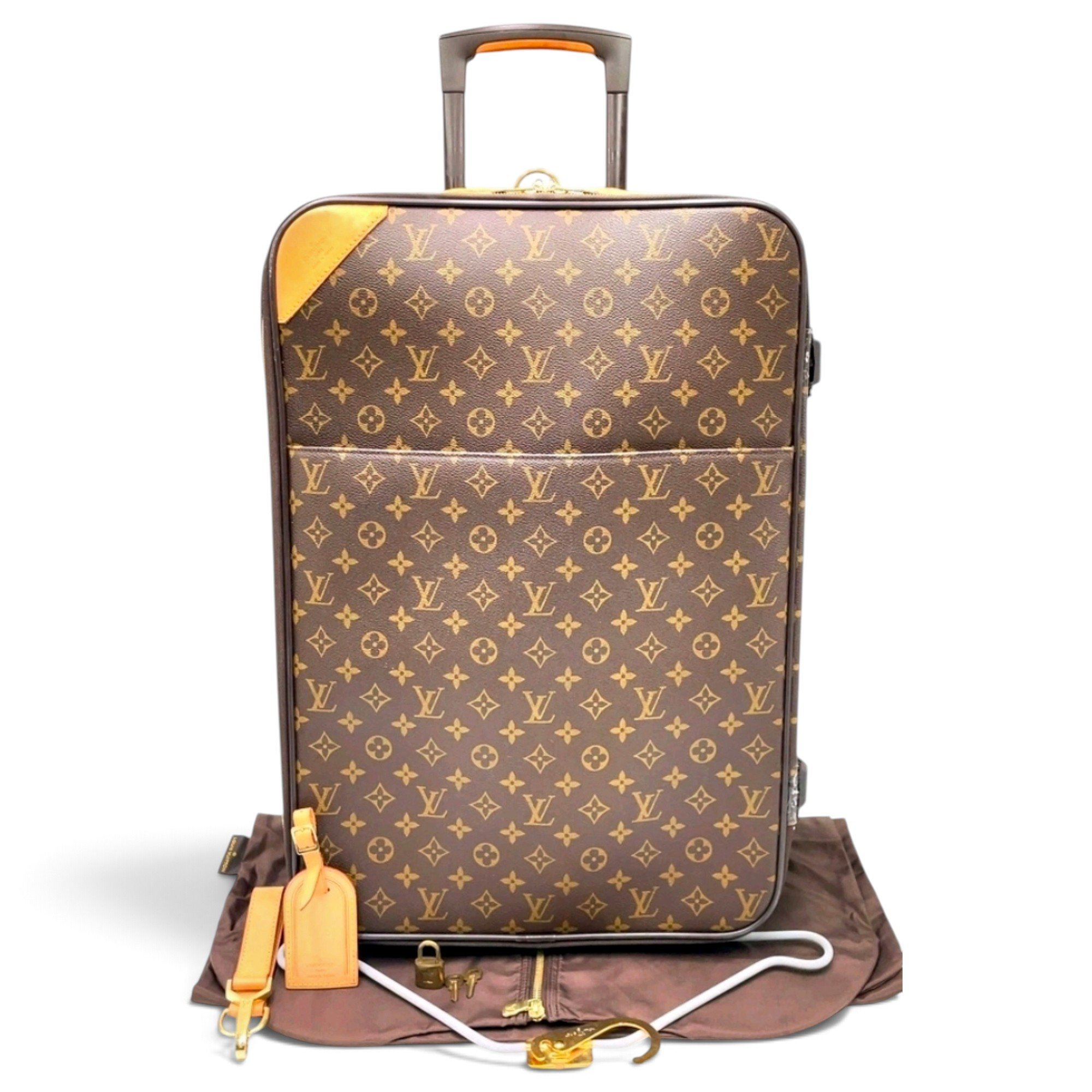 Pegase leather travel bag