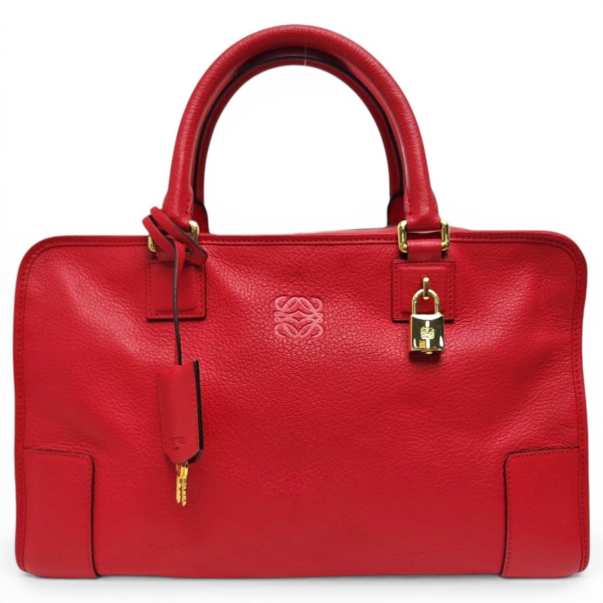 Amazona leather handbag