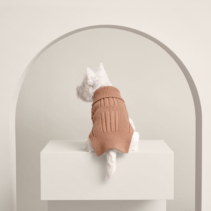 Fauve Dog Pullover