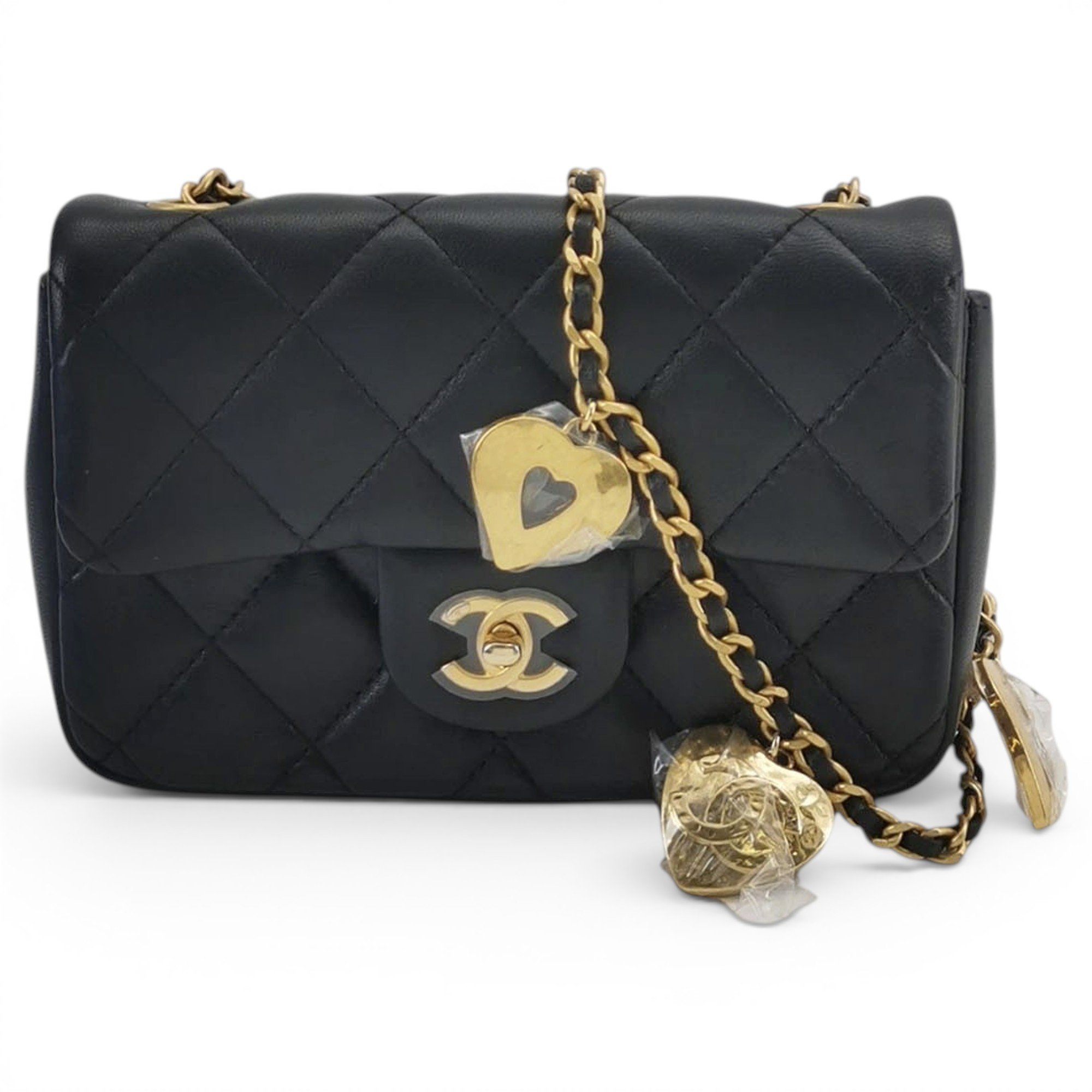 Timeless/Classique leather mini bag