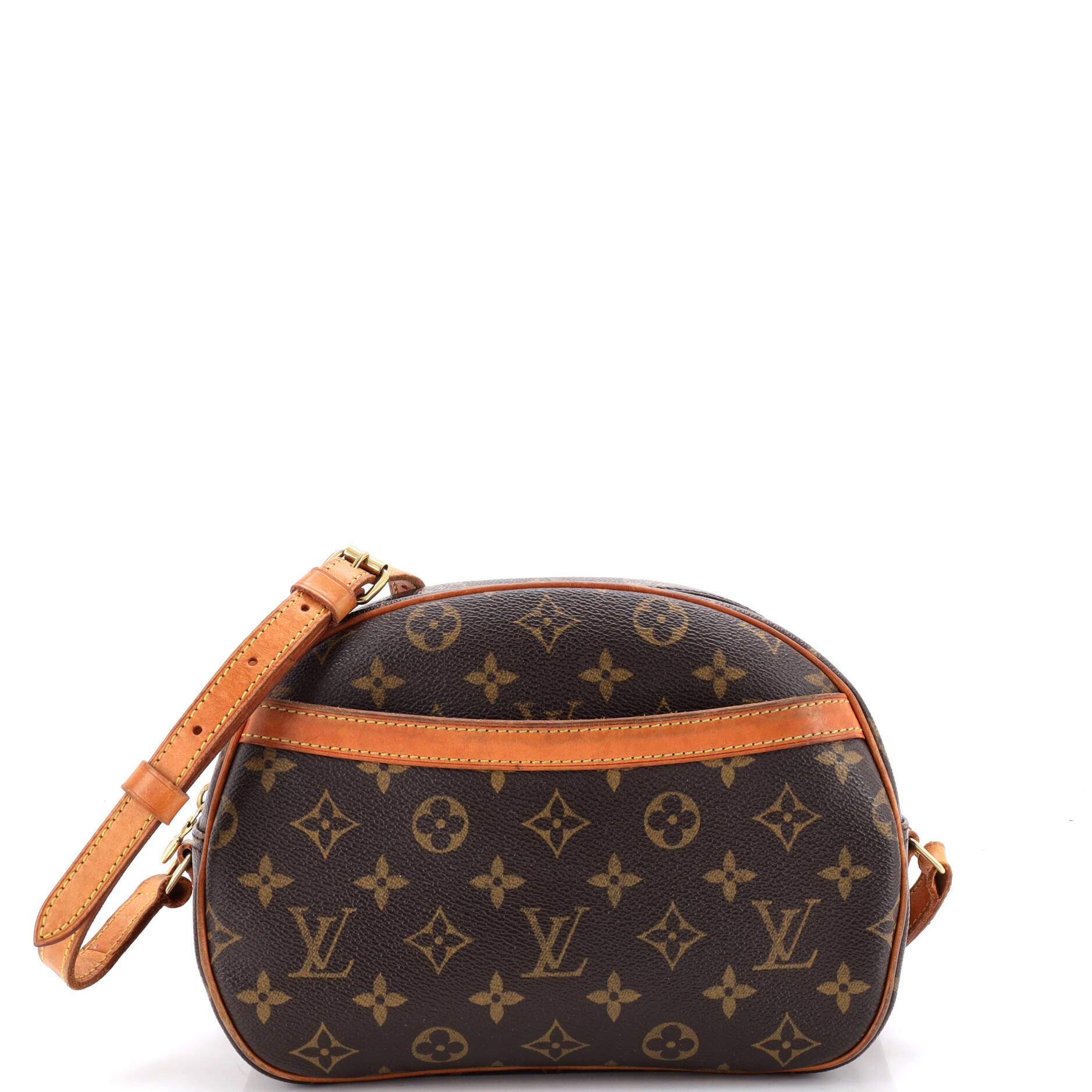 Blois Handbag Monogram Canvas
