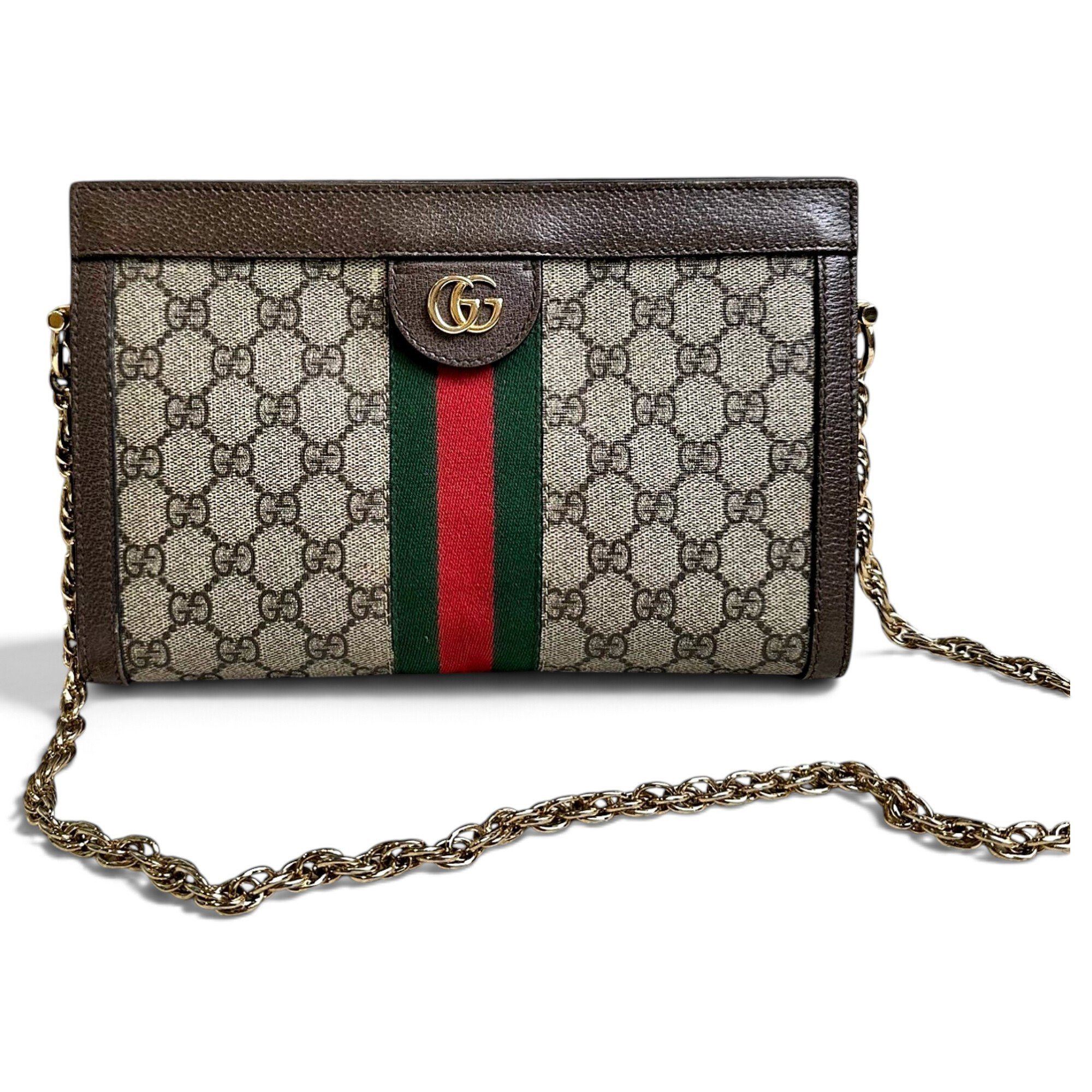 Ophidia Chain cloth handbag