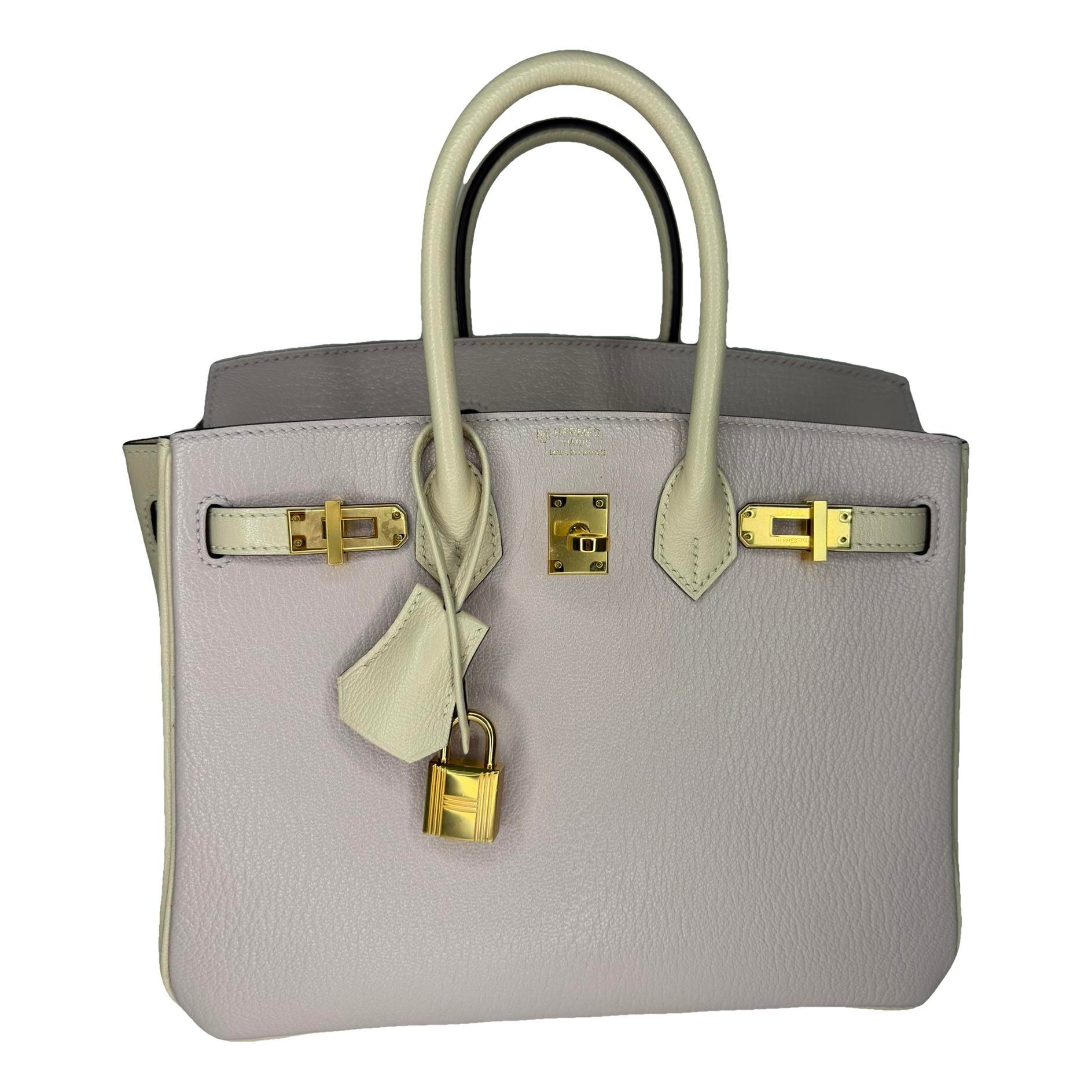 Hermes Birkin 25 Handbag 2023