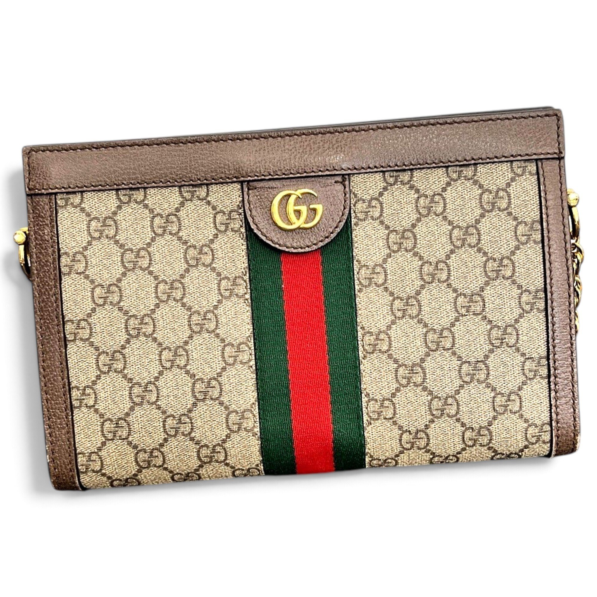 Ophidia Chain cloth handbag