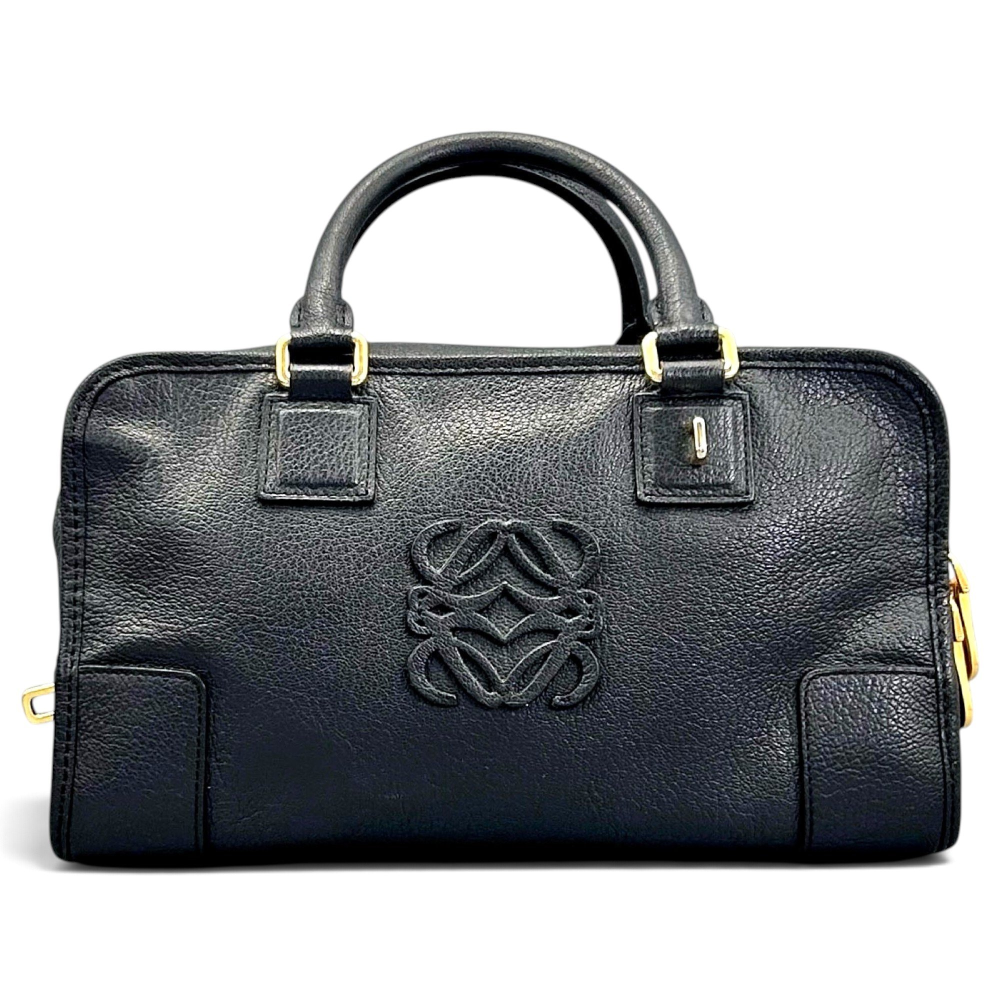 Amazona leather handbag
