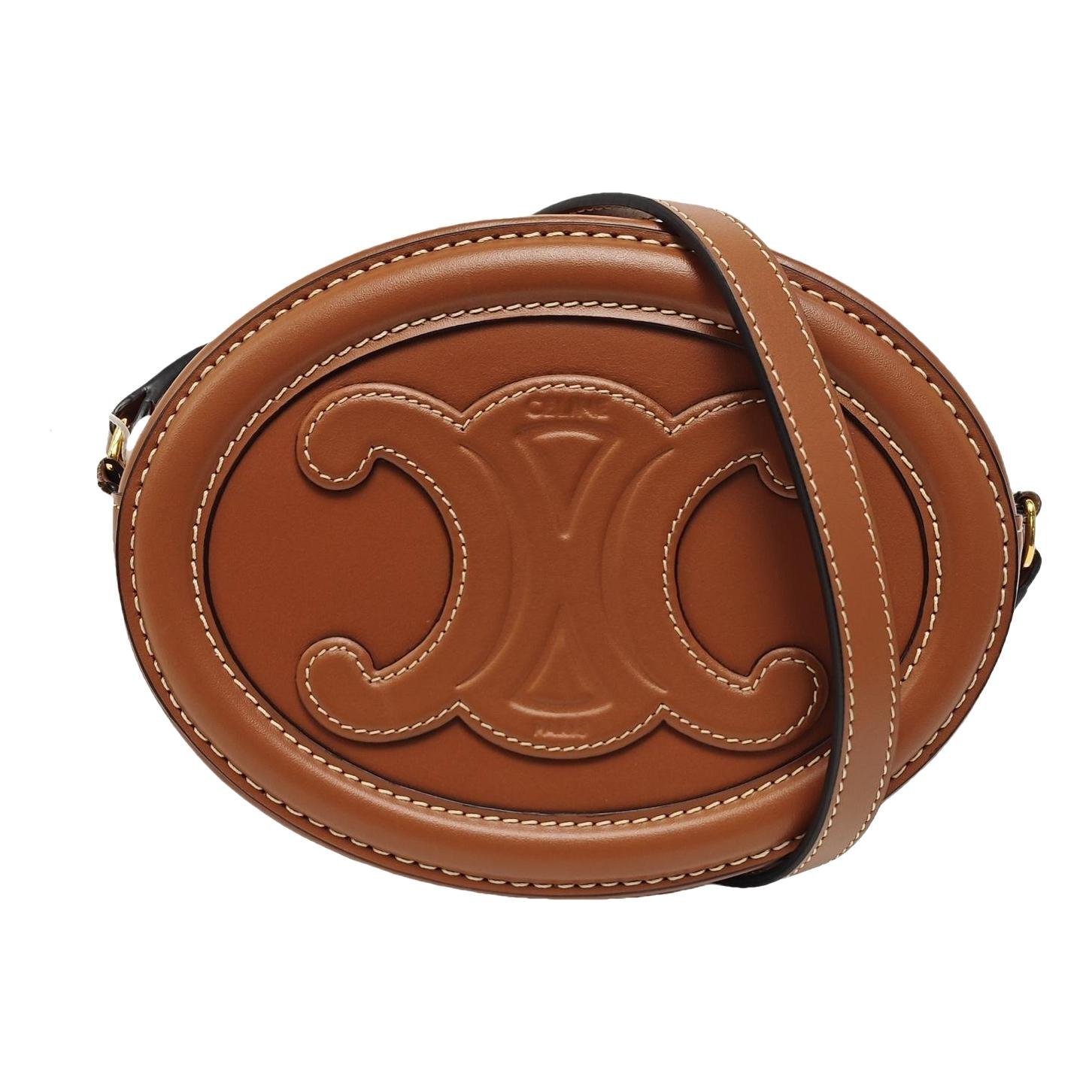 Triomphe leather handbag
