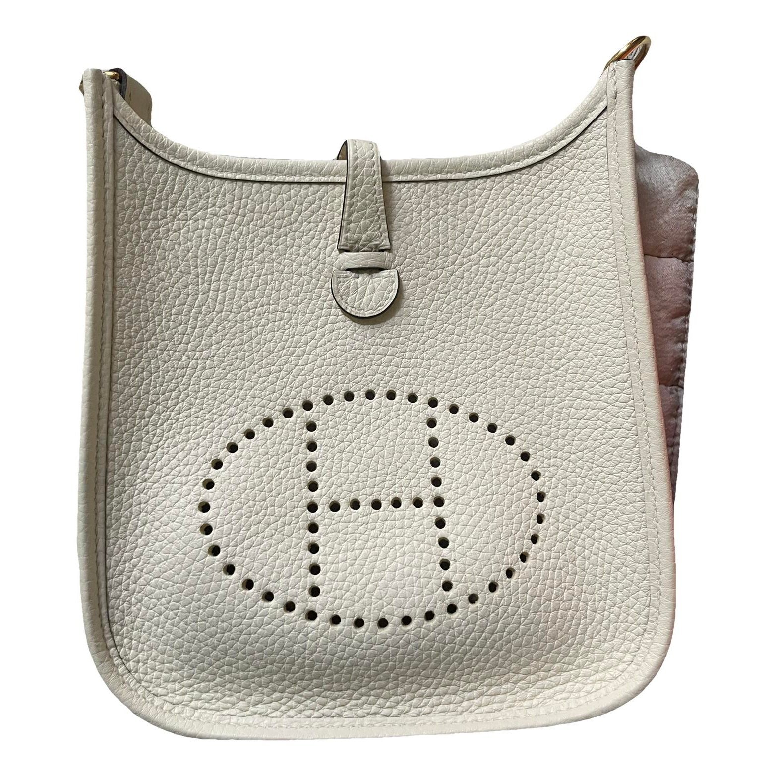 Mini Evelyne leather crossbody bag