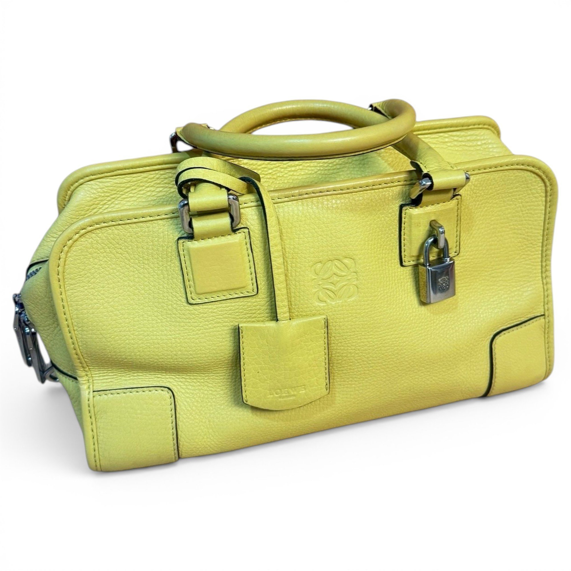 Amazona leather handbag