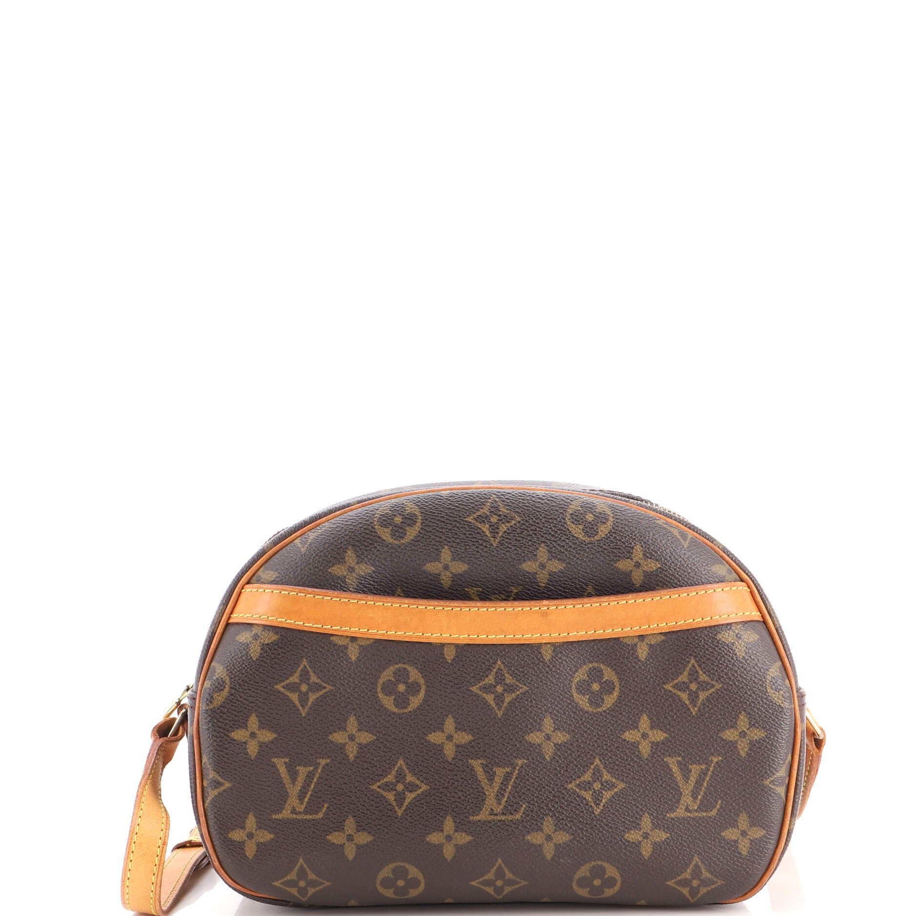 Blois Handbag Monogram Canvas