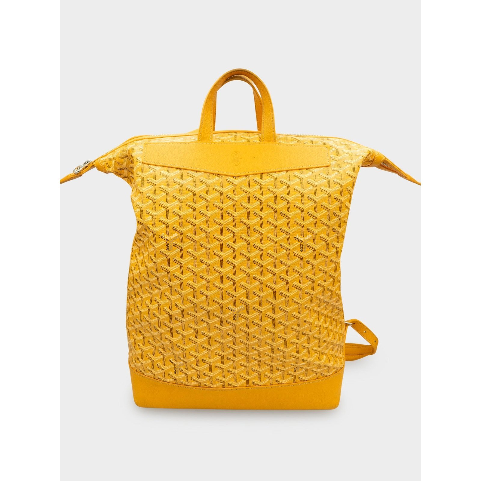Leather backpack