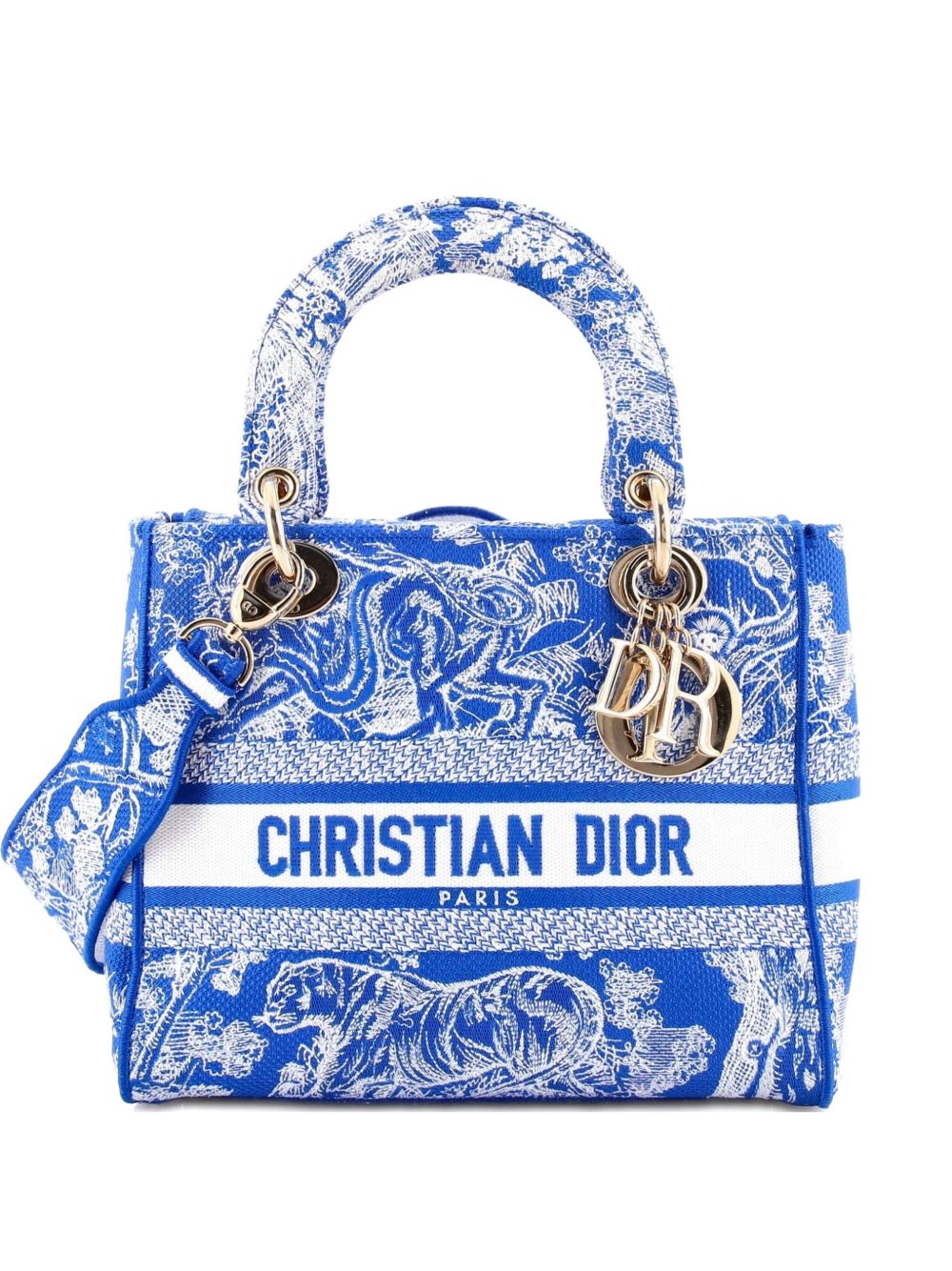 Dior Toile de Jouy Lady D-Lite Bag Embroidered Canvas tote bag