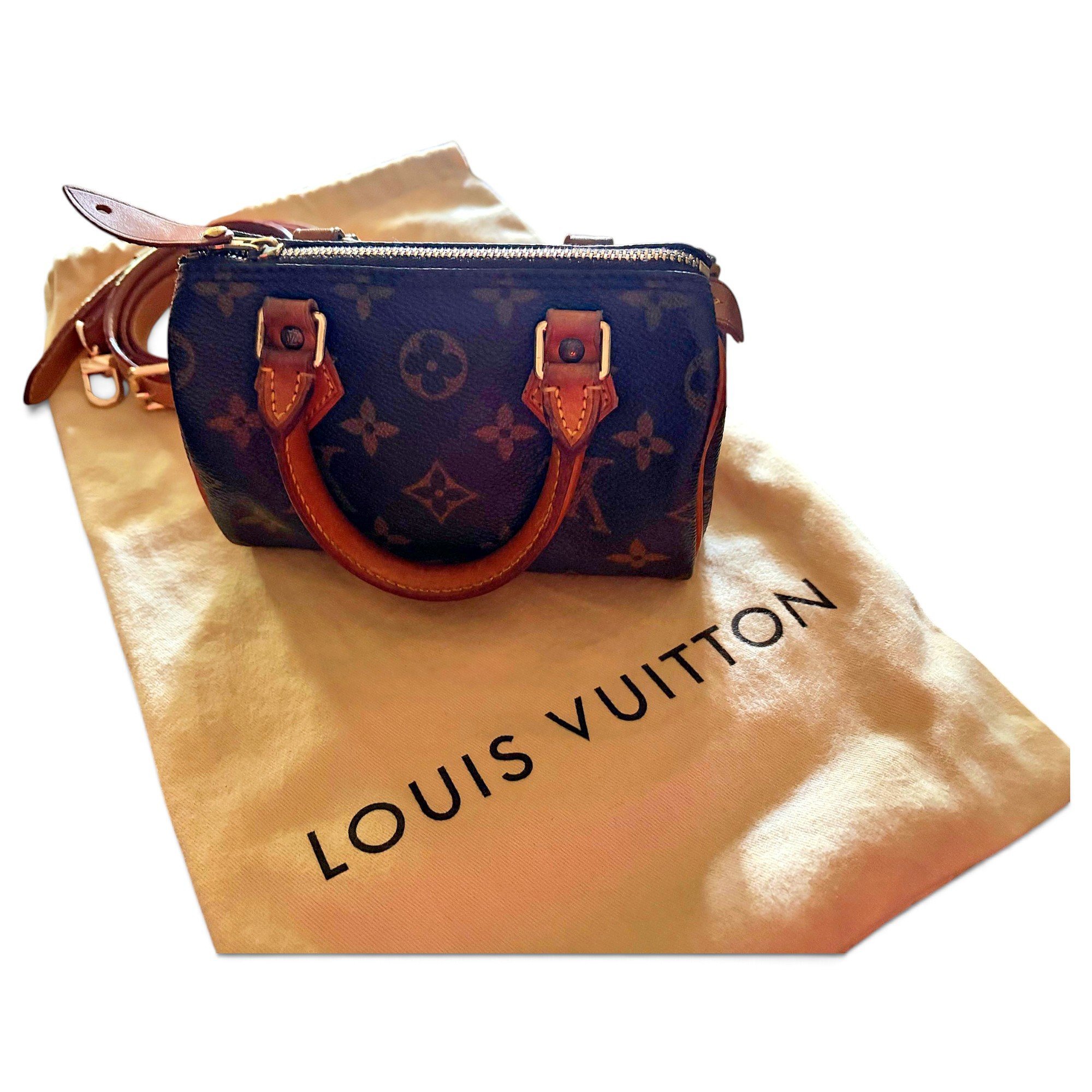 Louis Vuitton Speedy leather mini bag