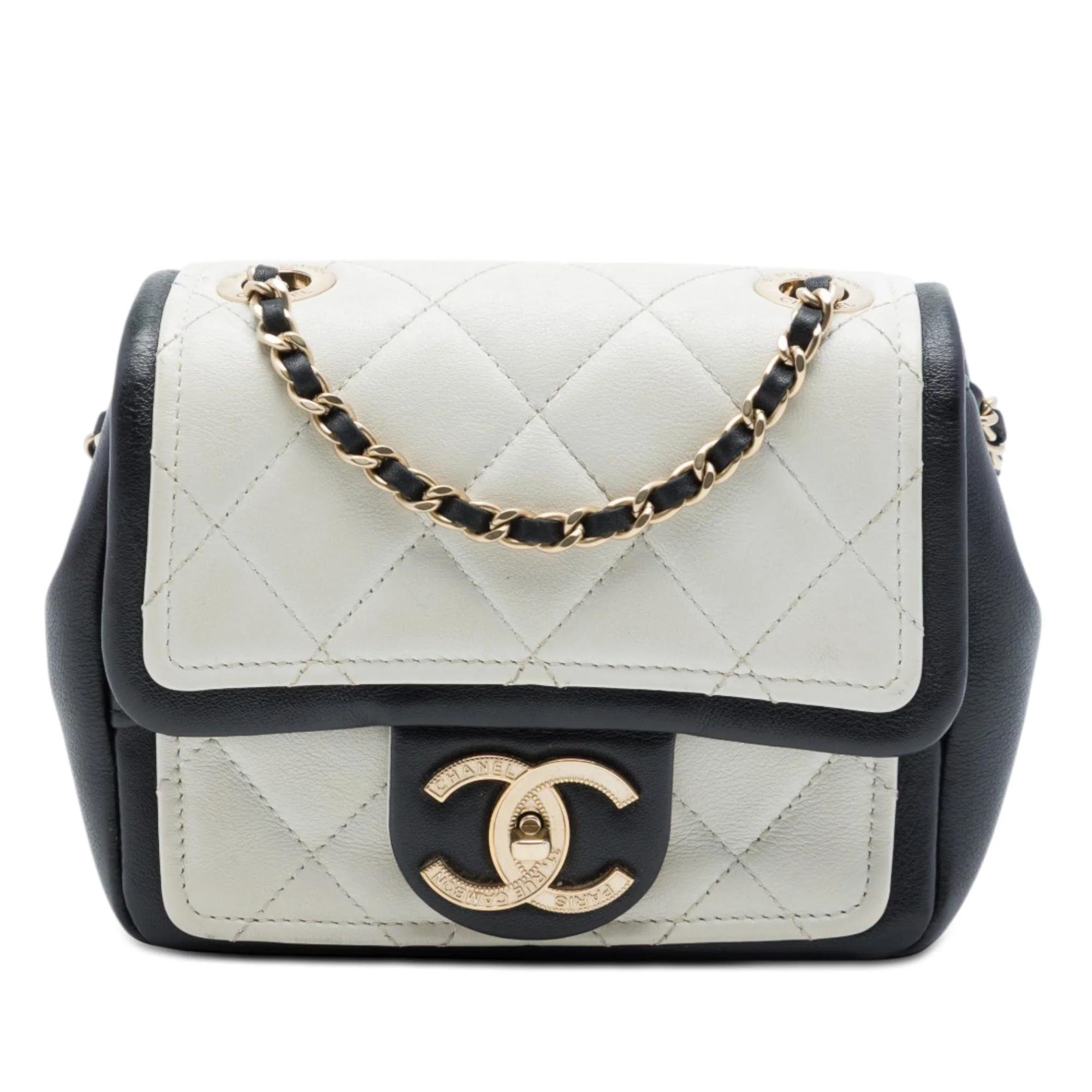 Timeless/Classique pony-style calfskin bag