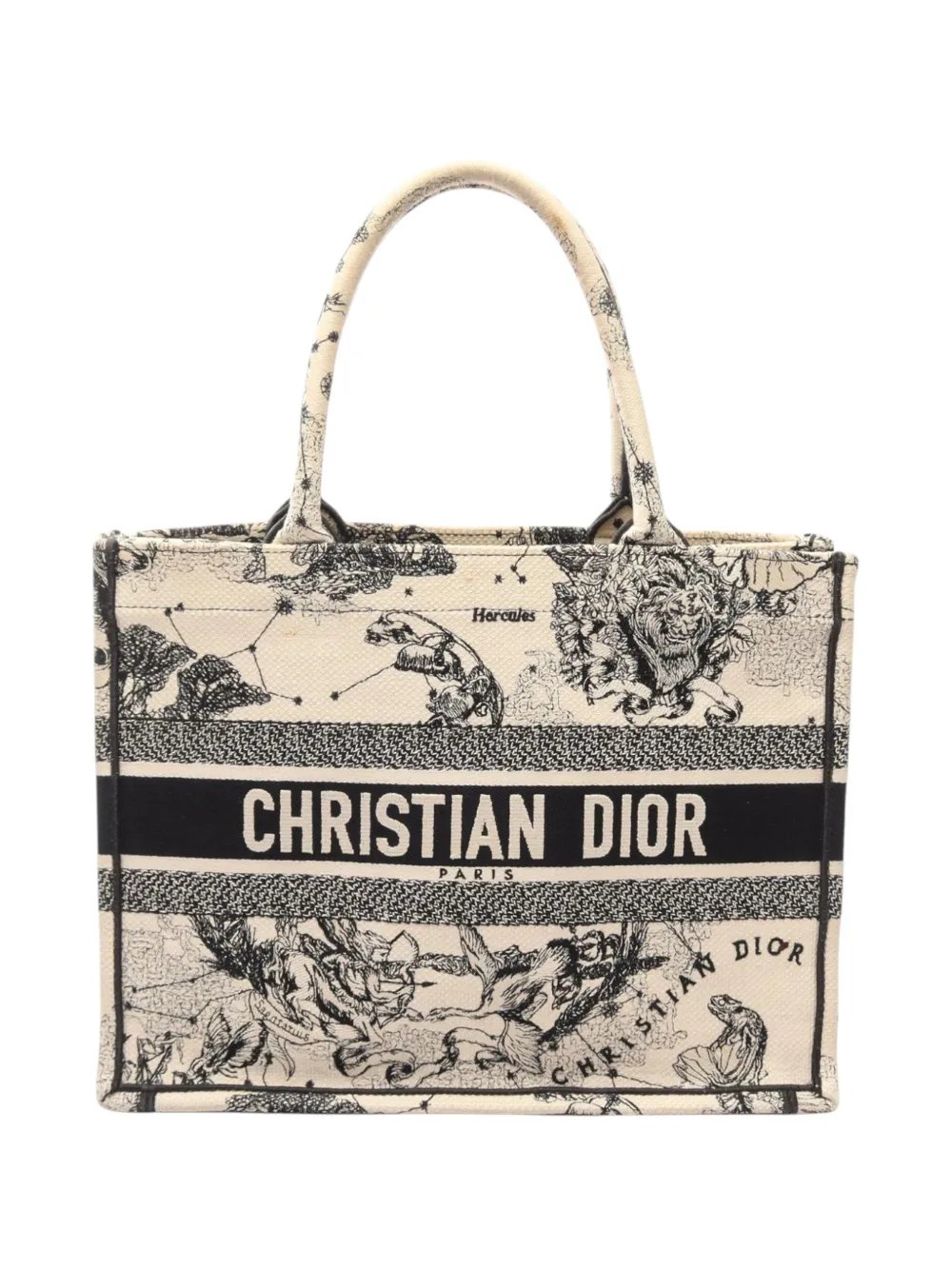 2000-2026 Medium Canvas Embroidered Zodiac Toile De Jouy Book tote bag