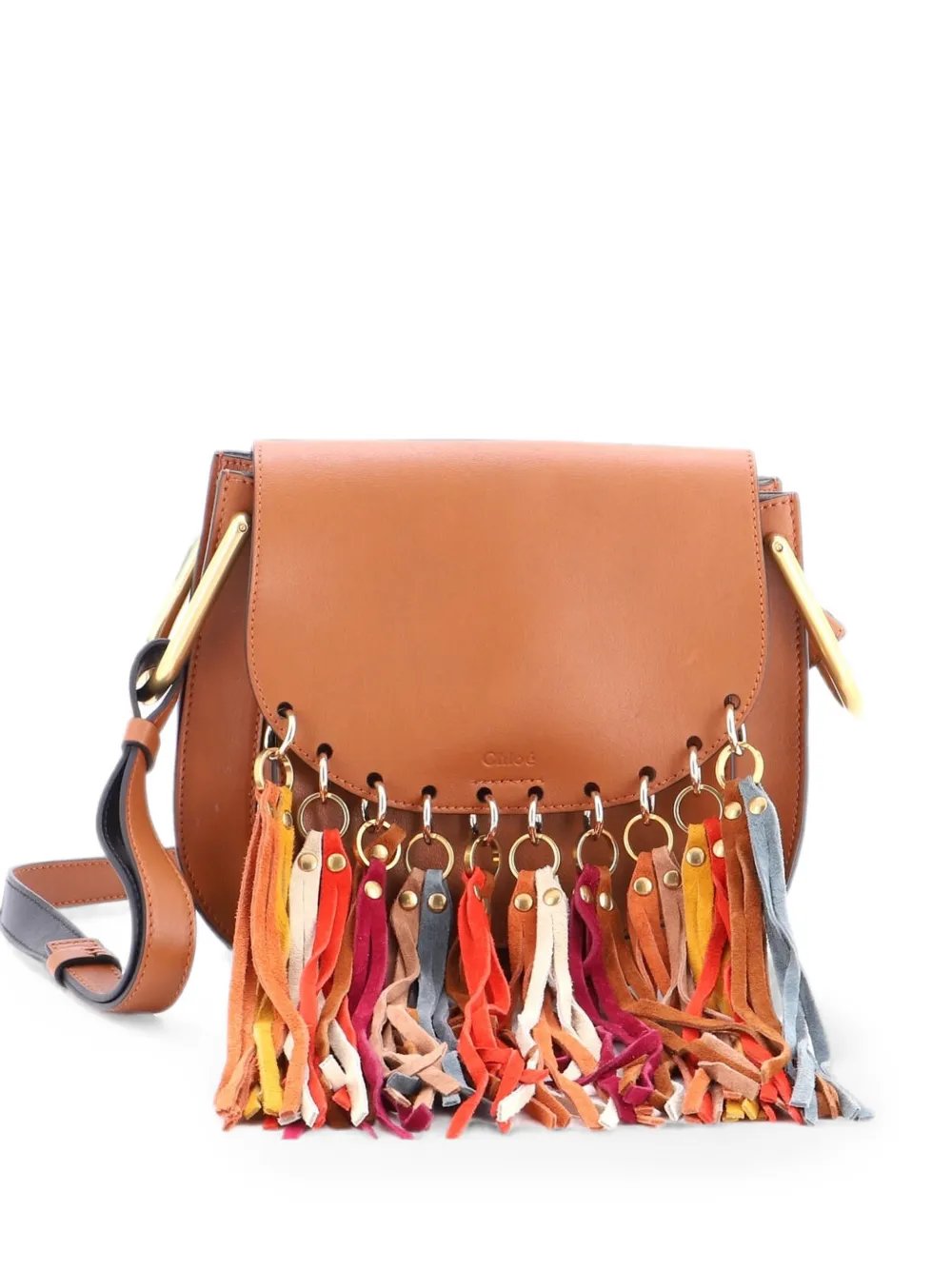 Multicolor Fringe Hudson Bag Leather Small shoulder bag