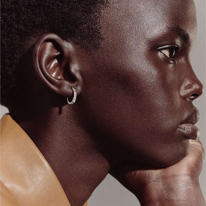 Sans Coloris Hermès Clou d'H Dangle Earrings, Small Model