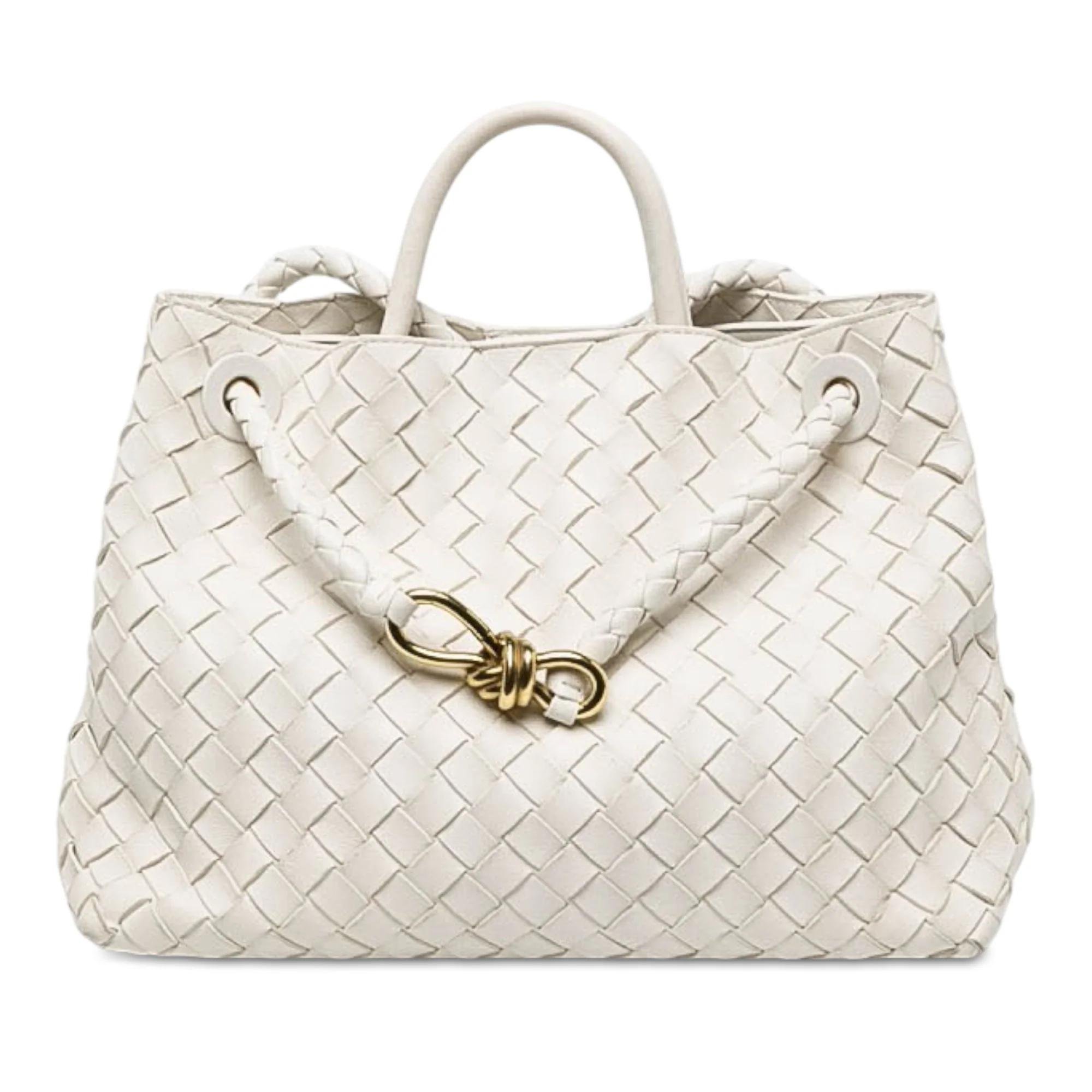 Bottega Veneta Andiamo pony-style calfskin handbag