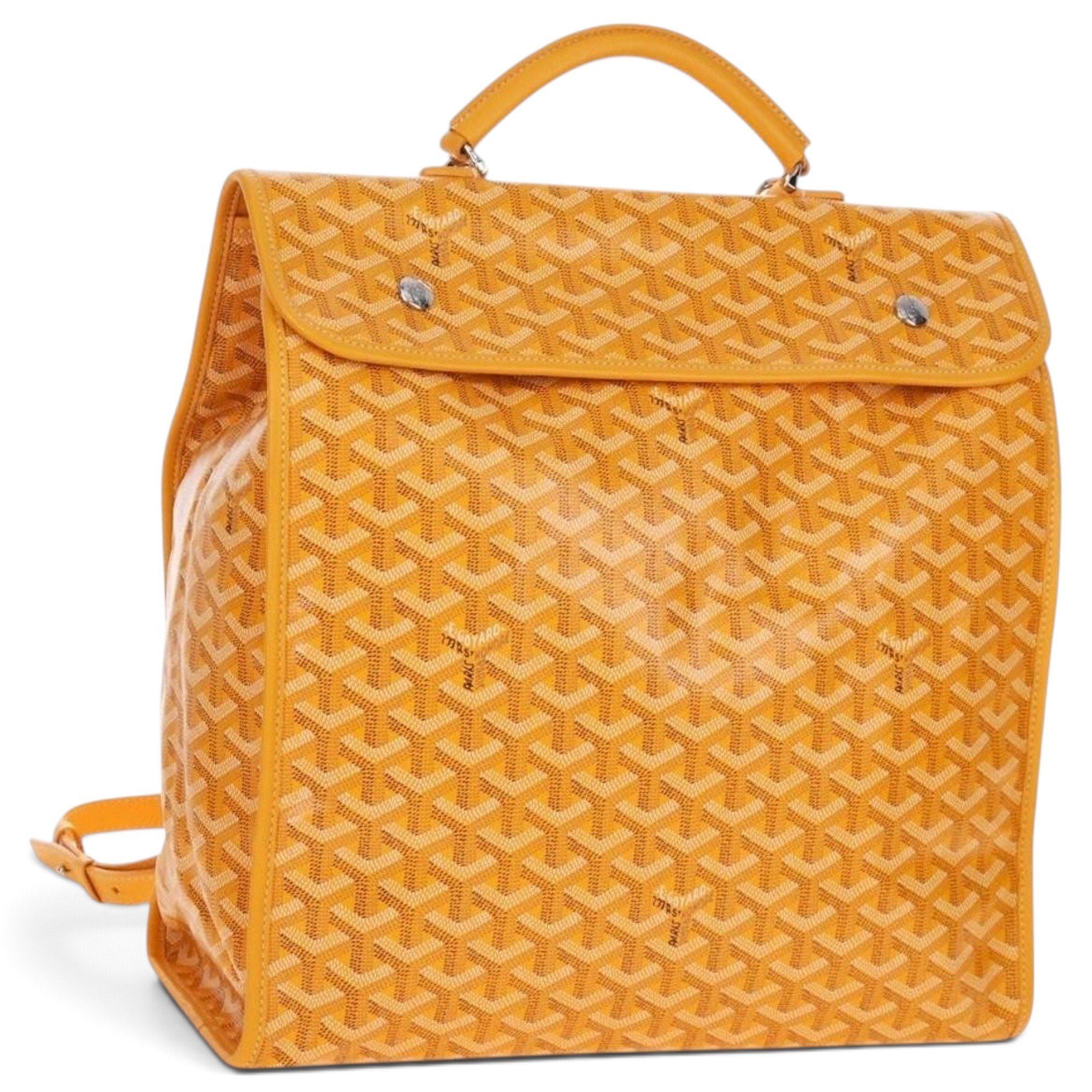 Goyard Leather backpack