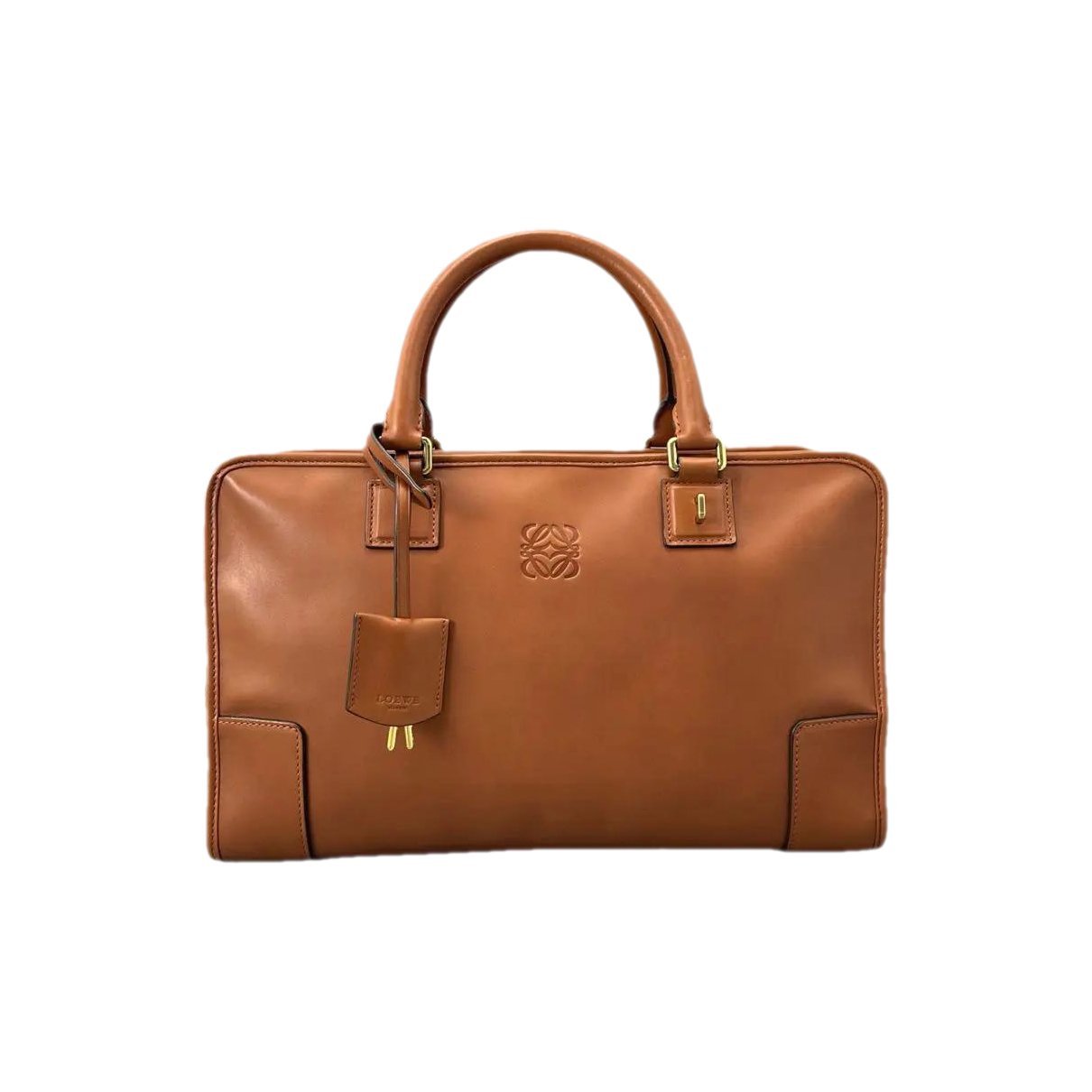Amazona leather handbag