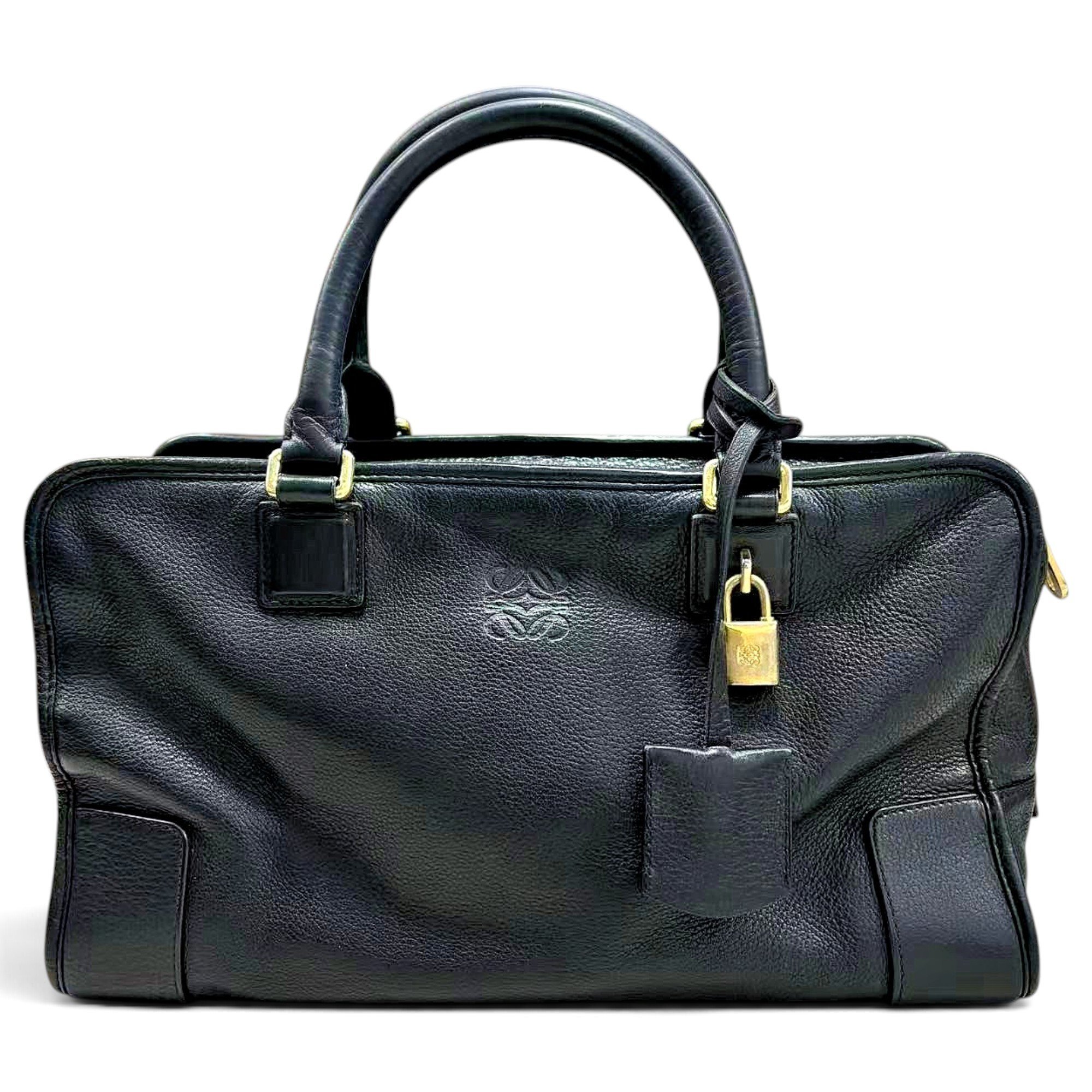 Amazona leather handbag