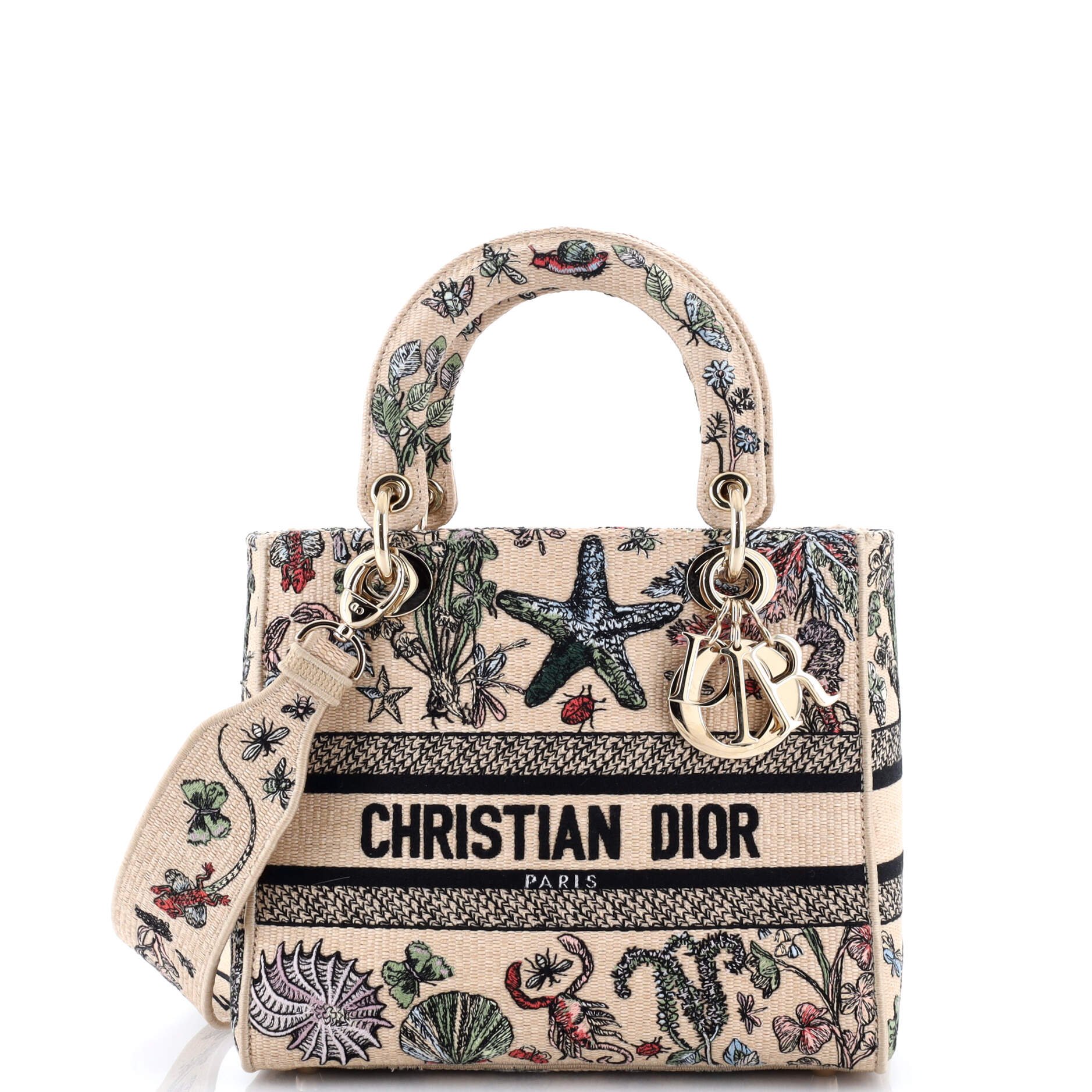 Dior Lady D-Lite Bag Embroidered Raffia Medium