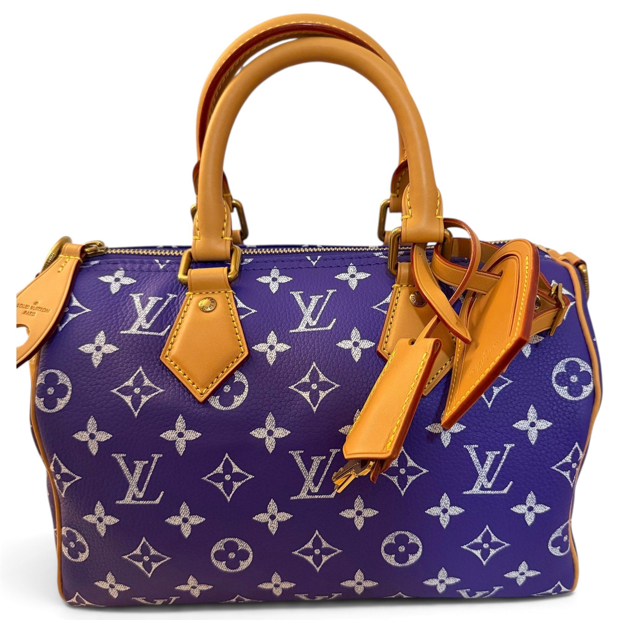 Speedy Bandoulière leather handbag