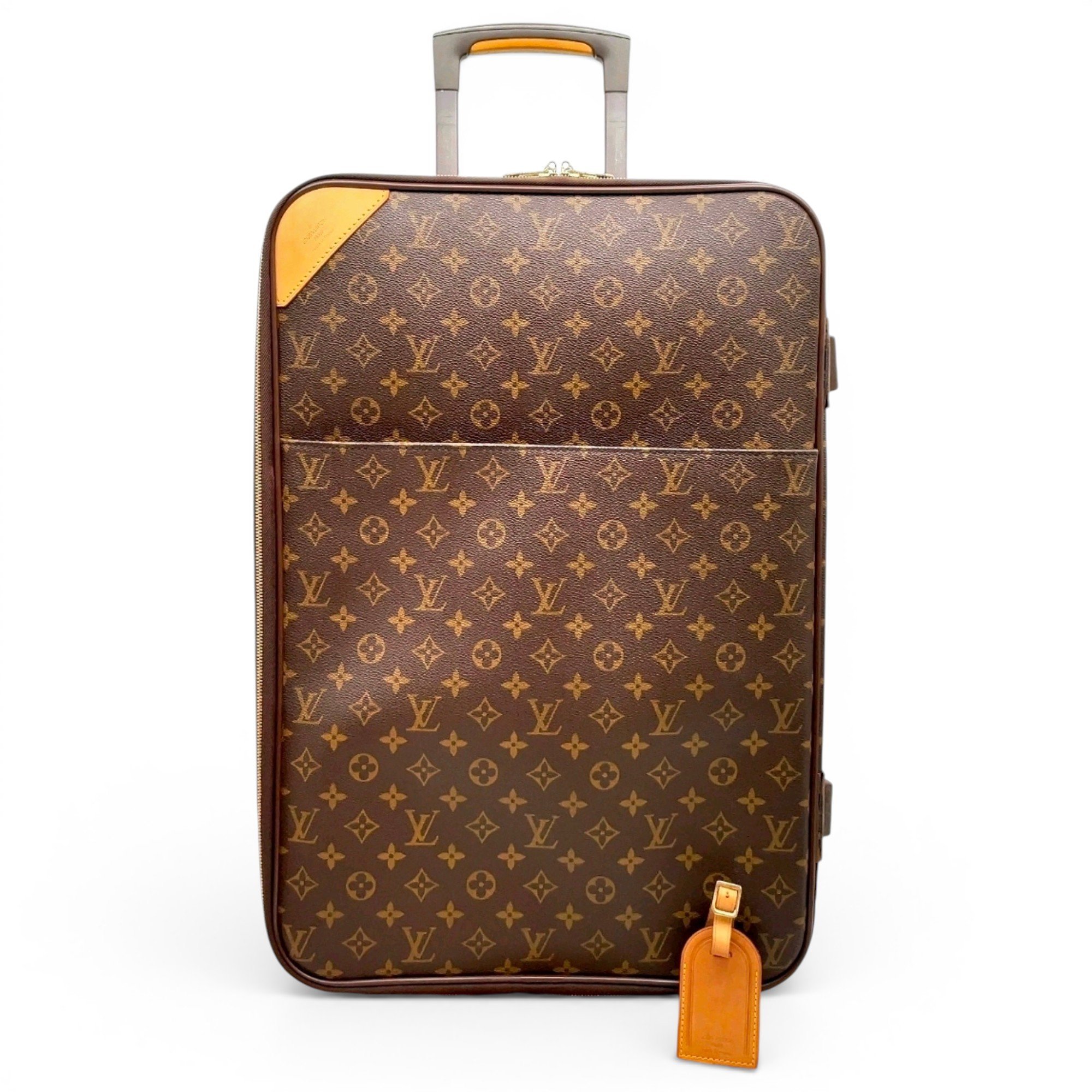 Pegase leather travel bag
