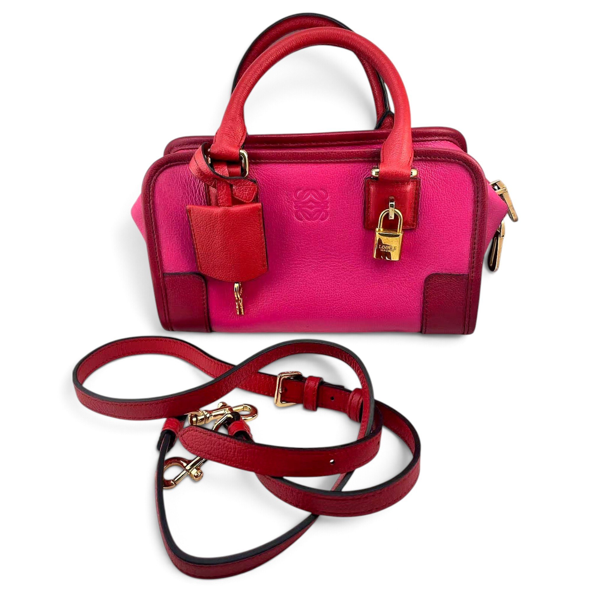 Amazona leather handbag