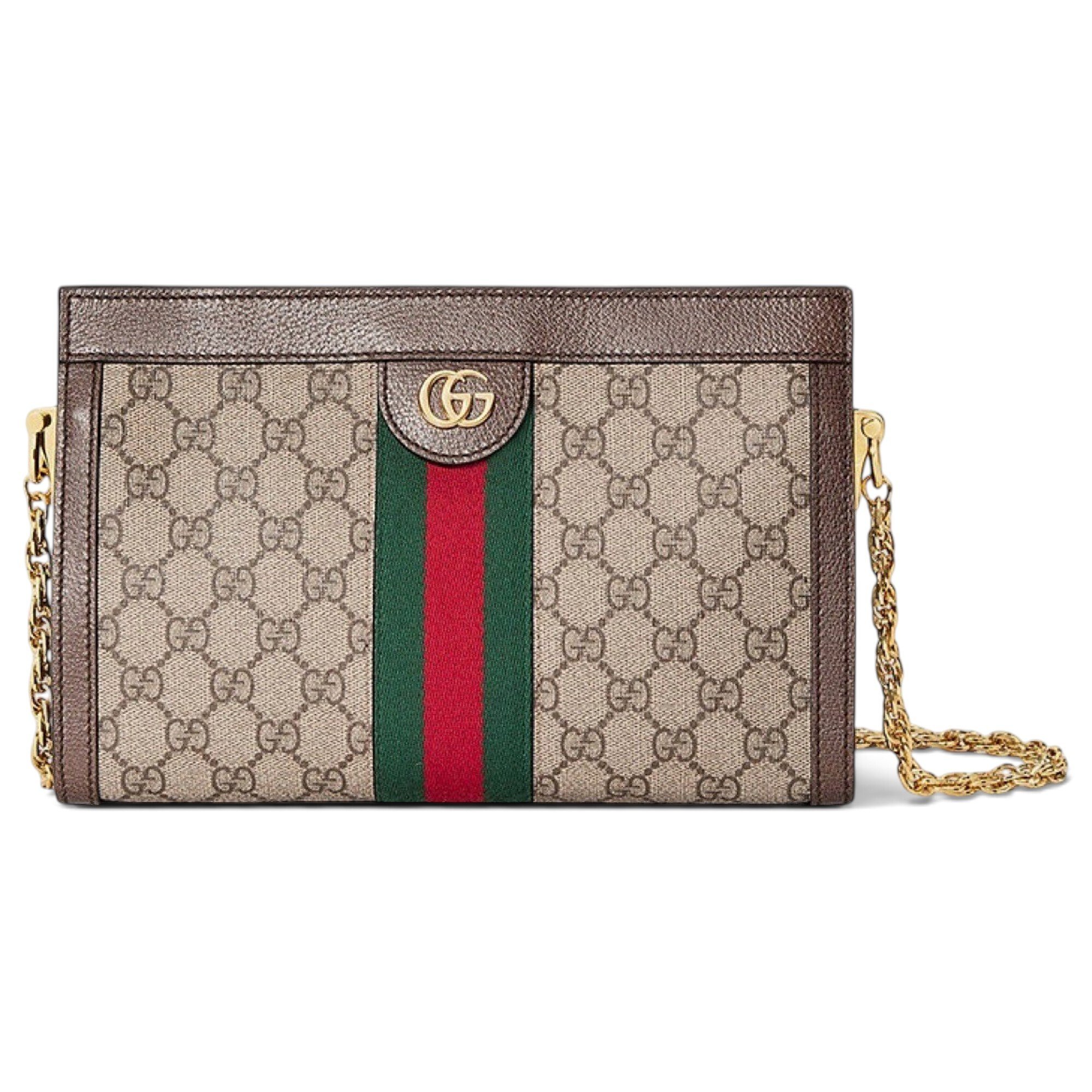 Ophidia Chain cloth handbag